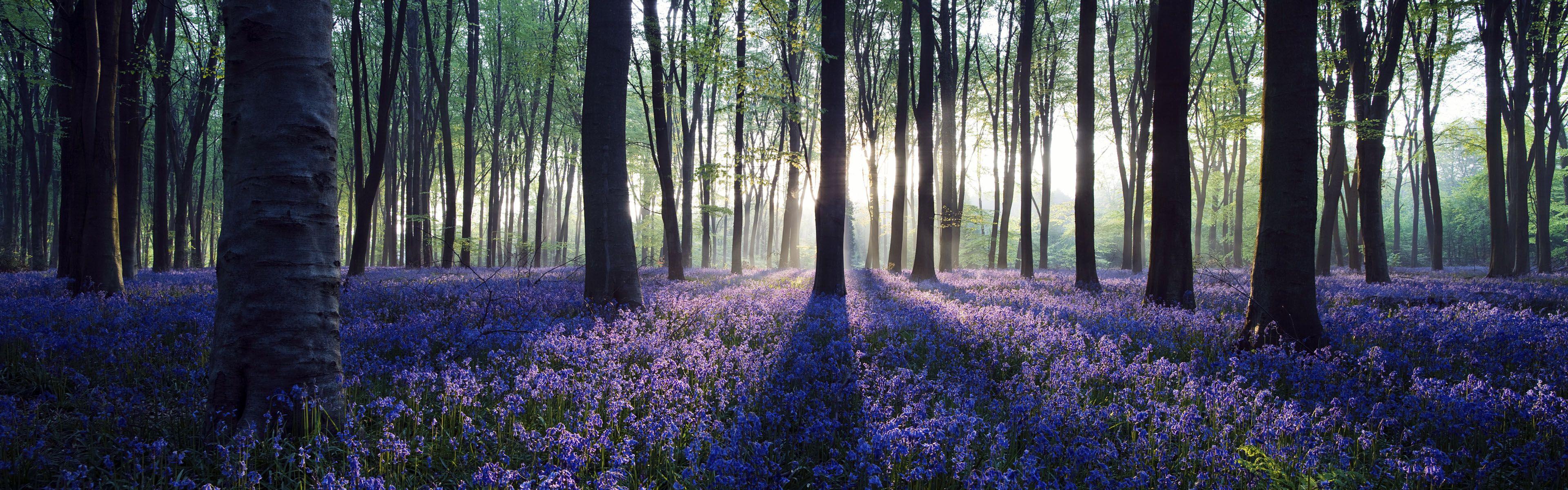 3840x1200 Nature Panorama Wallpaper HD