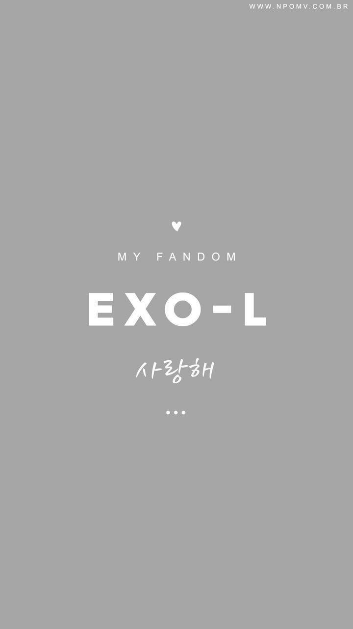 720x1280 Download EXO Fandom Wallpaper