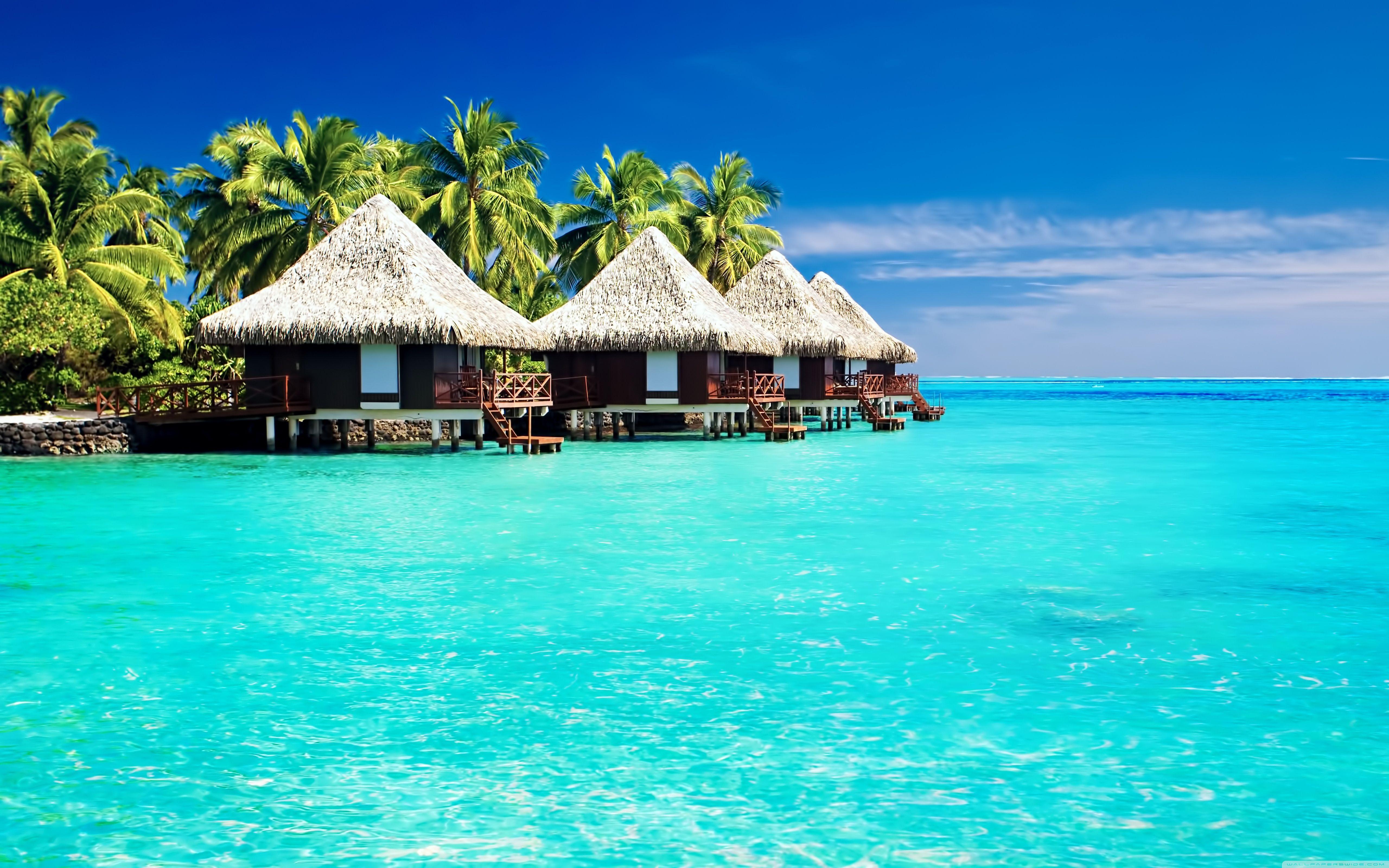 Escape to paradise with these Desktop backgrounds tropical scenery