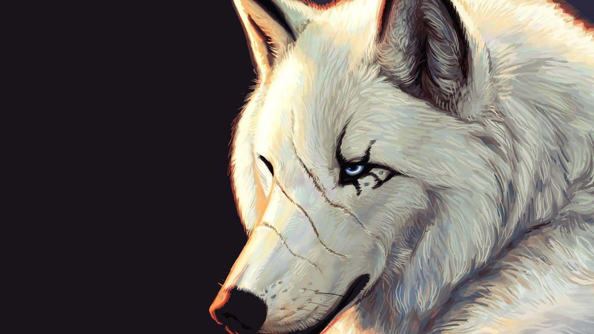 1920x1080 White Wolf Wallpaper Phone Is Cool Wallpaper Wolf Wallpaper HD Wallpaper & Background Download