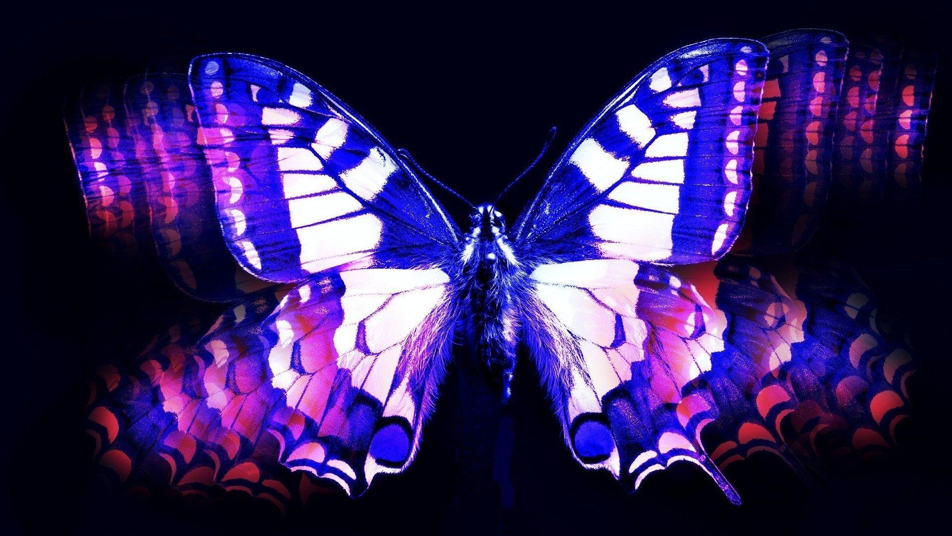 1920x1080 Wallpaper Purple Butterfly Desktop Cute Wallpaper