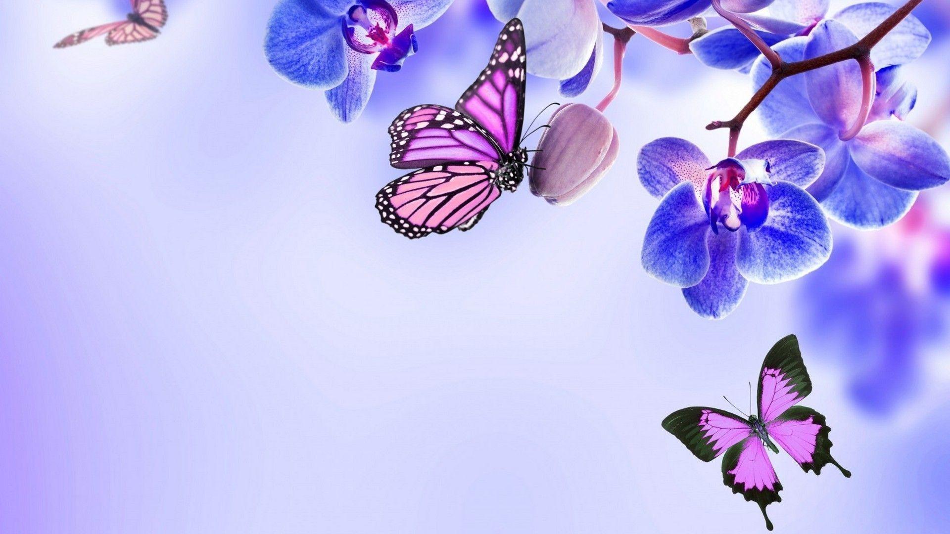 1920x1080 Purple Butterfly Desktop Wallpaper