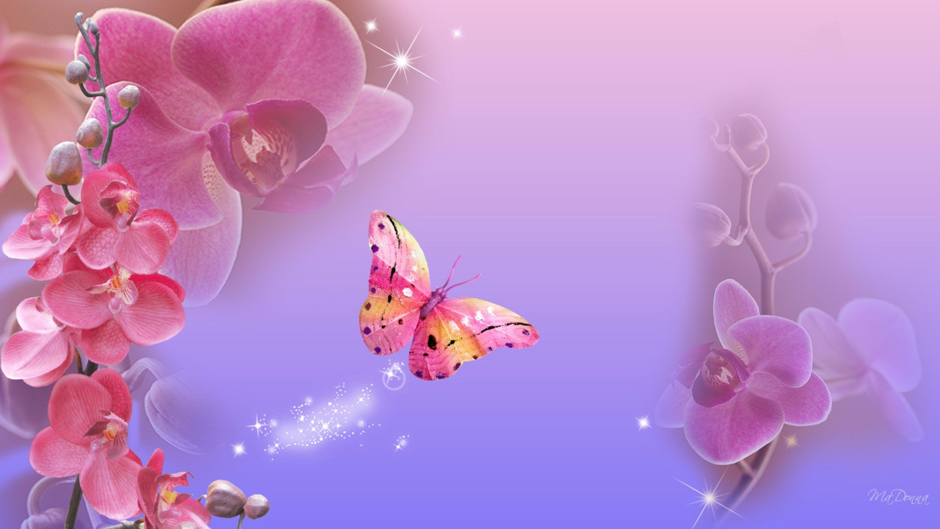 3840x2160 Pink Orchids and Butterfly 4k Ultra HD Wallpaper
