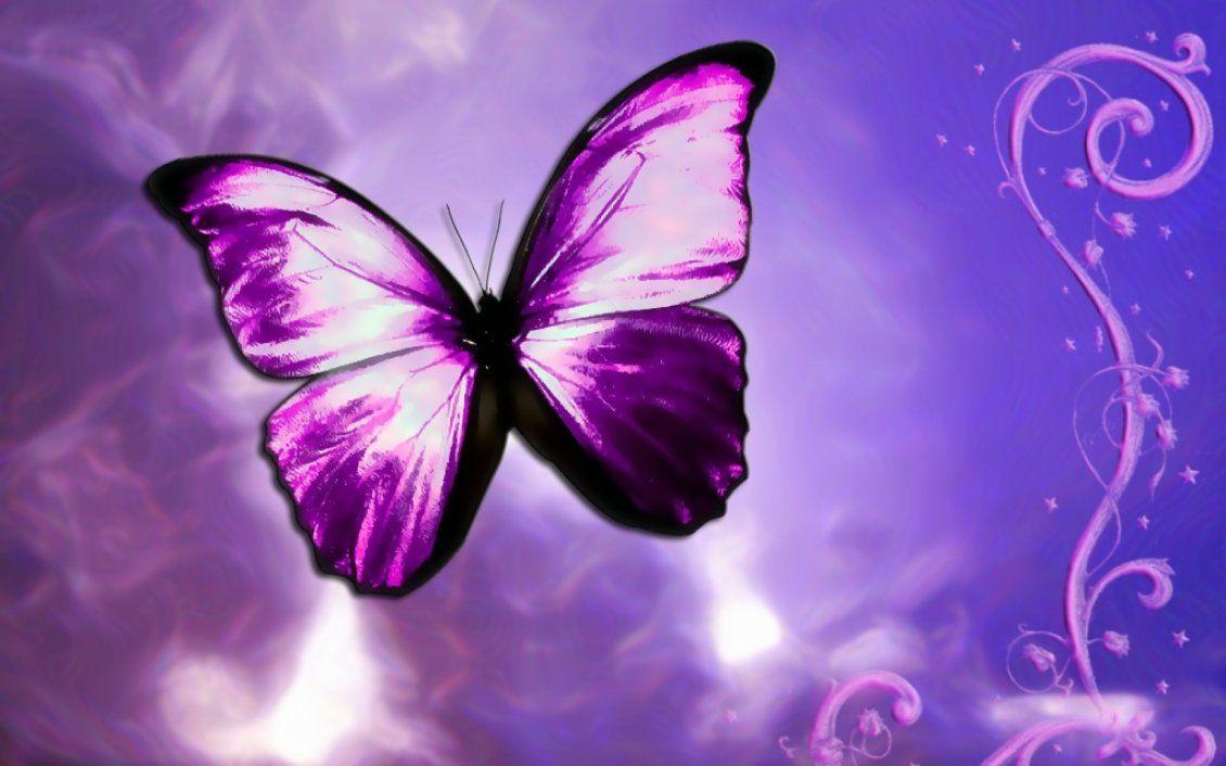 1130x706 Purple Butterfly Background, Download Wallpaper