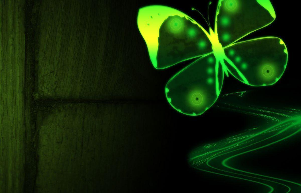 1200x768 Neon Green Butterfly Wallpaper