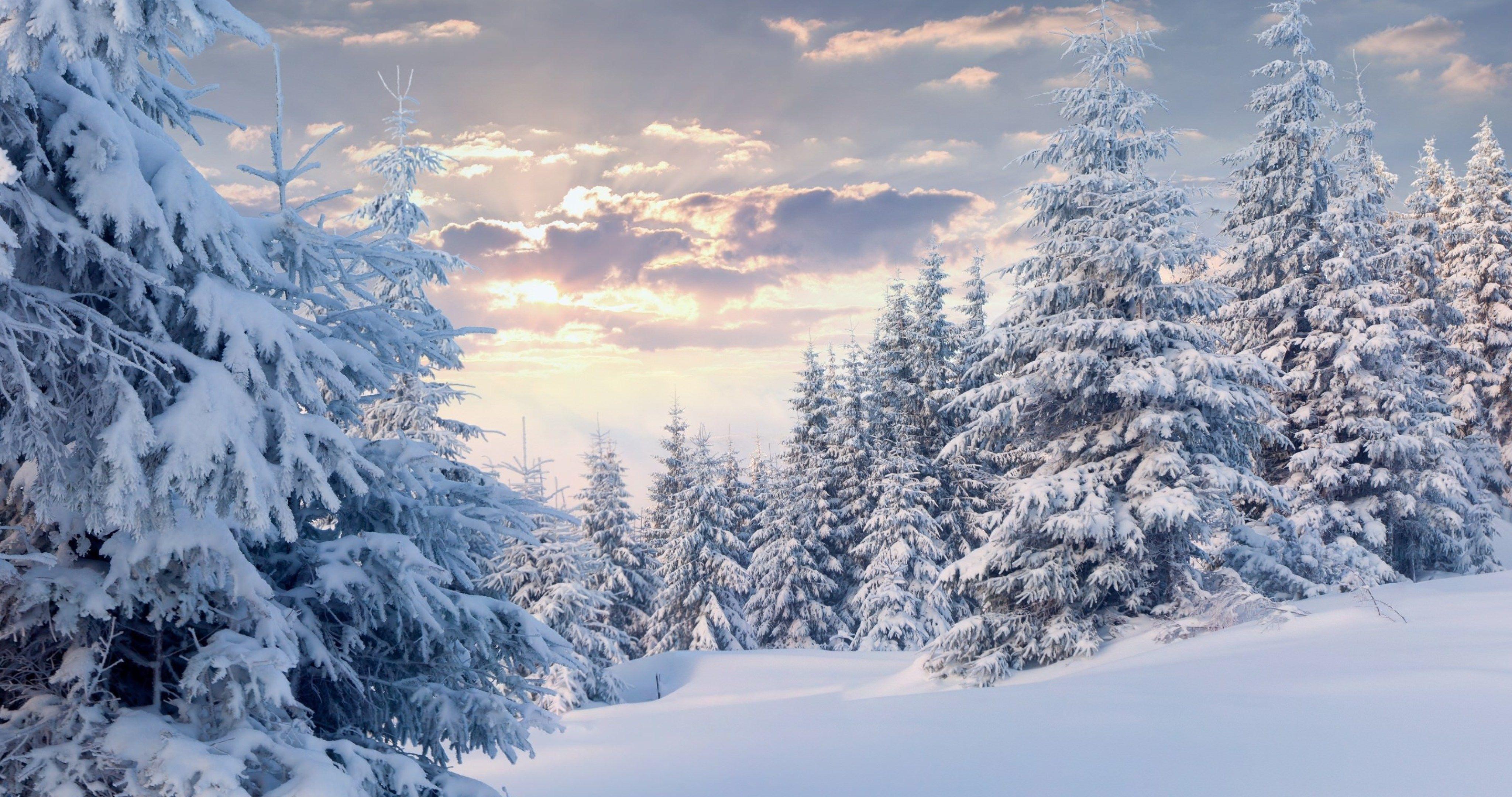 Winter Snow 4K Wallpapers - Top Free Winter Snow 4K Backgrounds