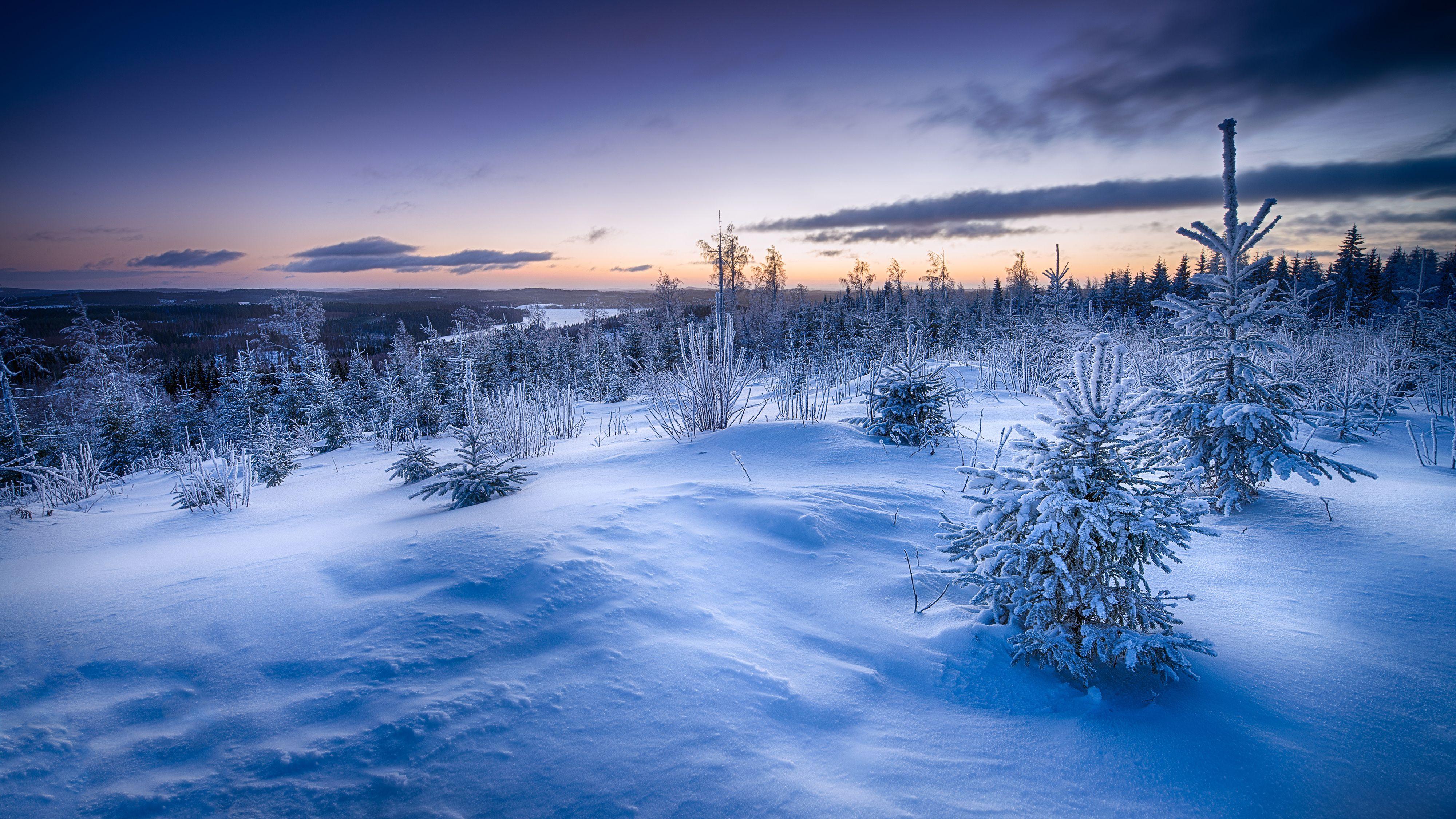 4000x2250 #Snow, K, #Winter horizon