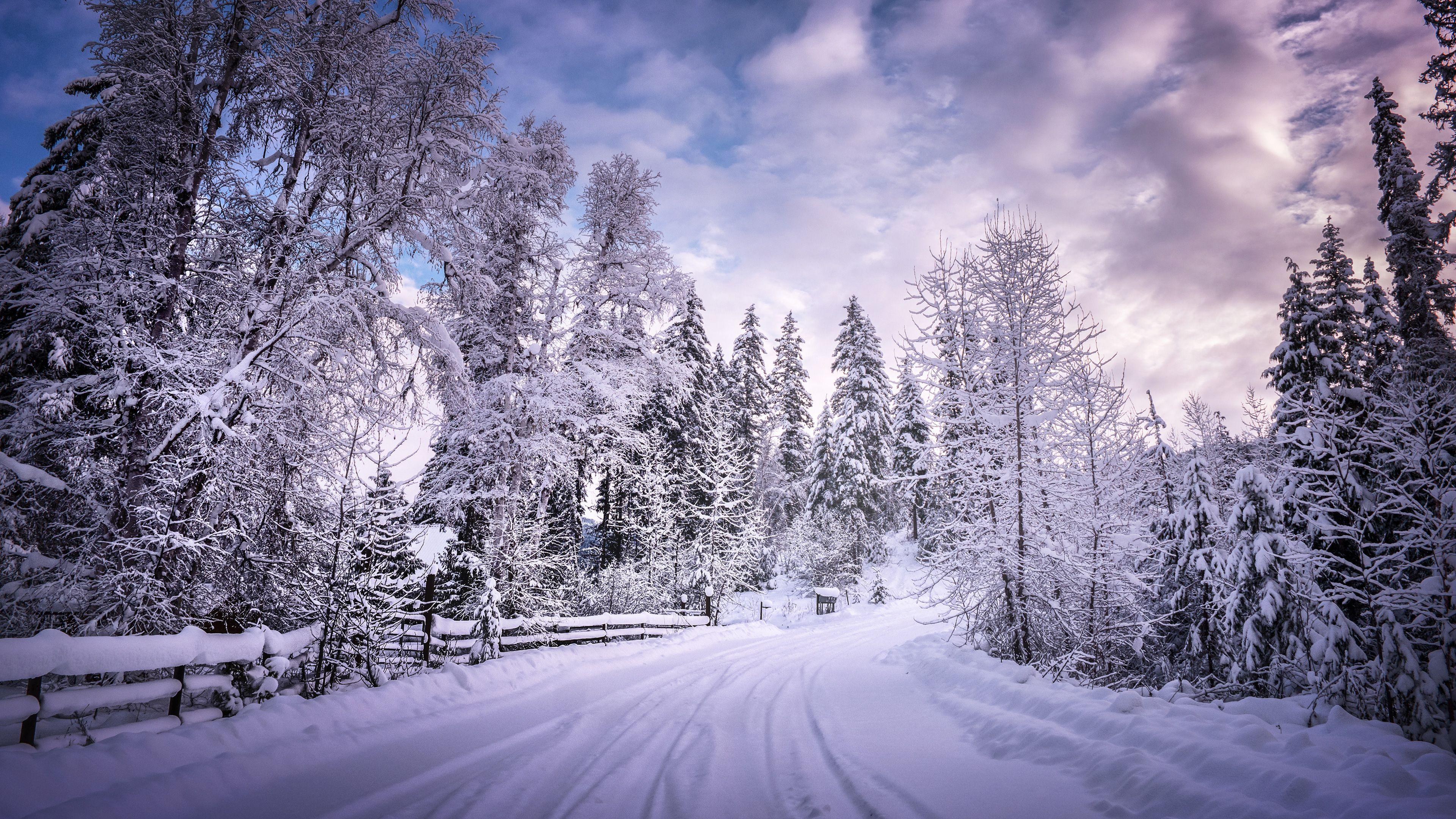 3840x2160 Wallpaper 4k Winter Road Snow Trees White 4k 4k Wallpaper, HD