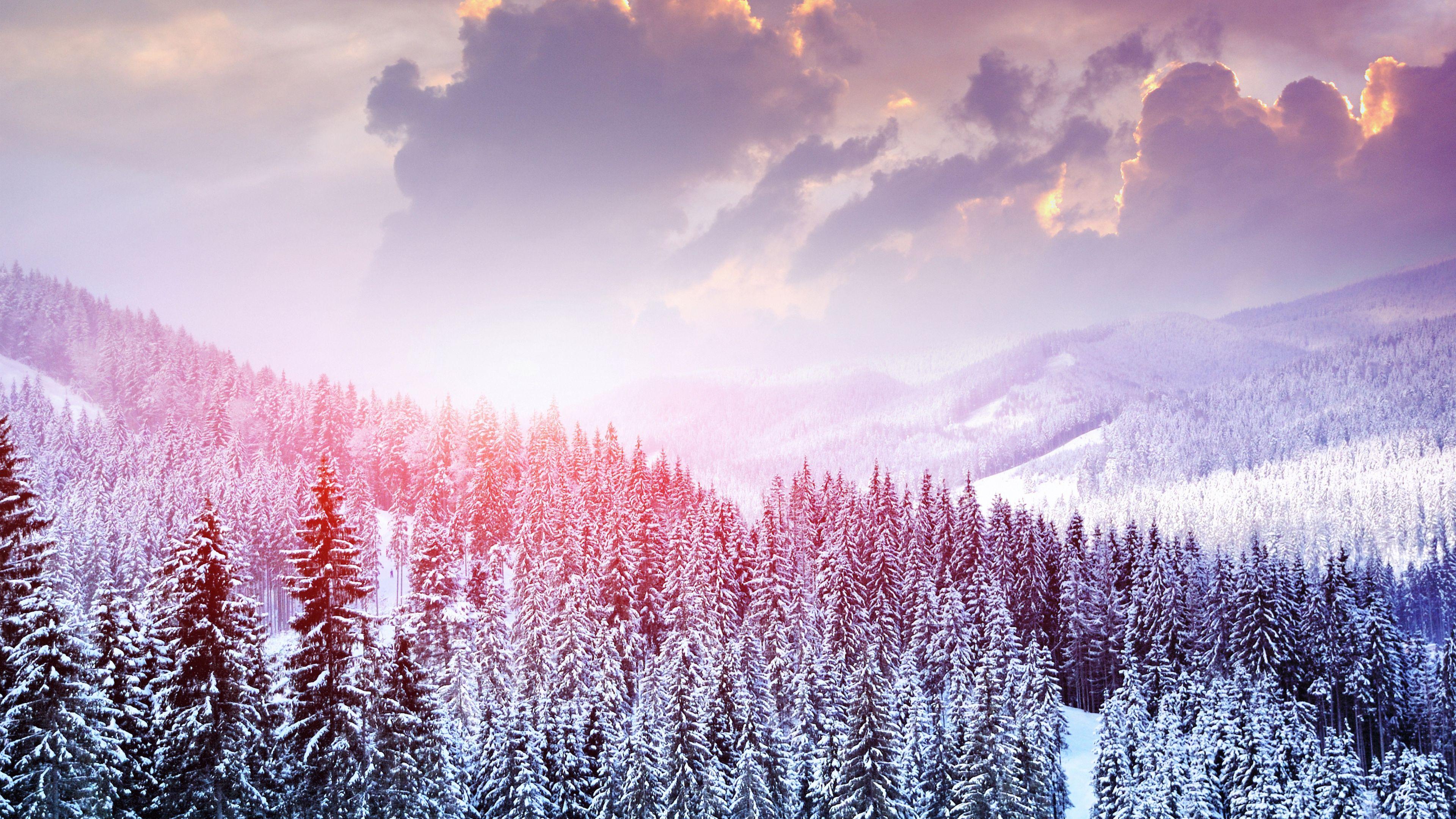 3840x2160 landscape, winter, snow 4K Wallpaper, HD Nature 4K