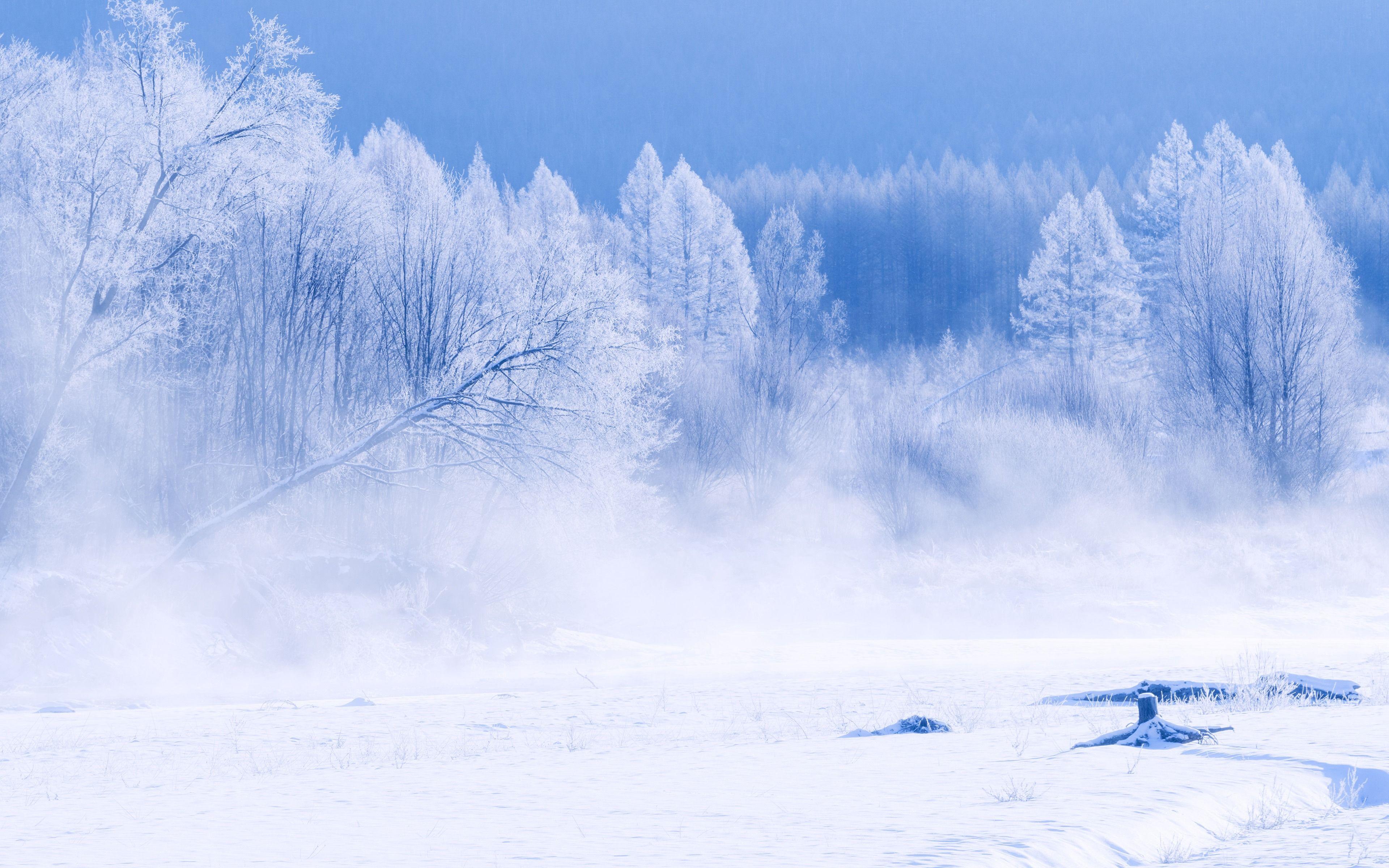 3840x2400 Winter Scenery Photo Desktop HD Wallpaper 4K