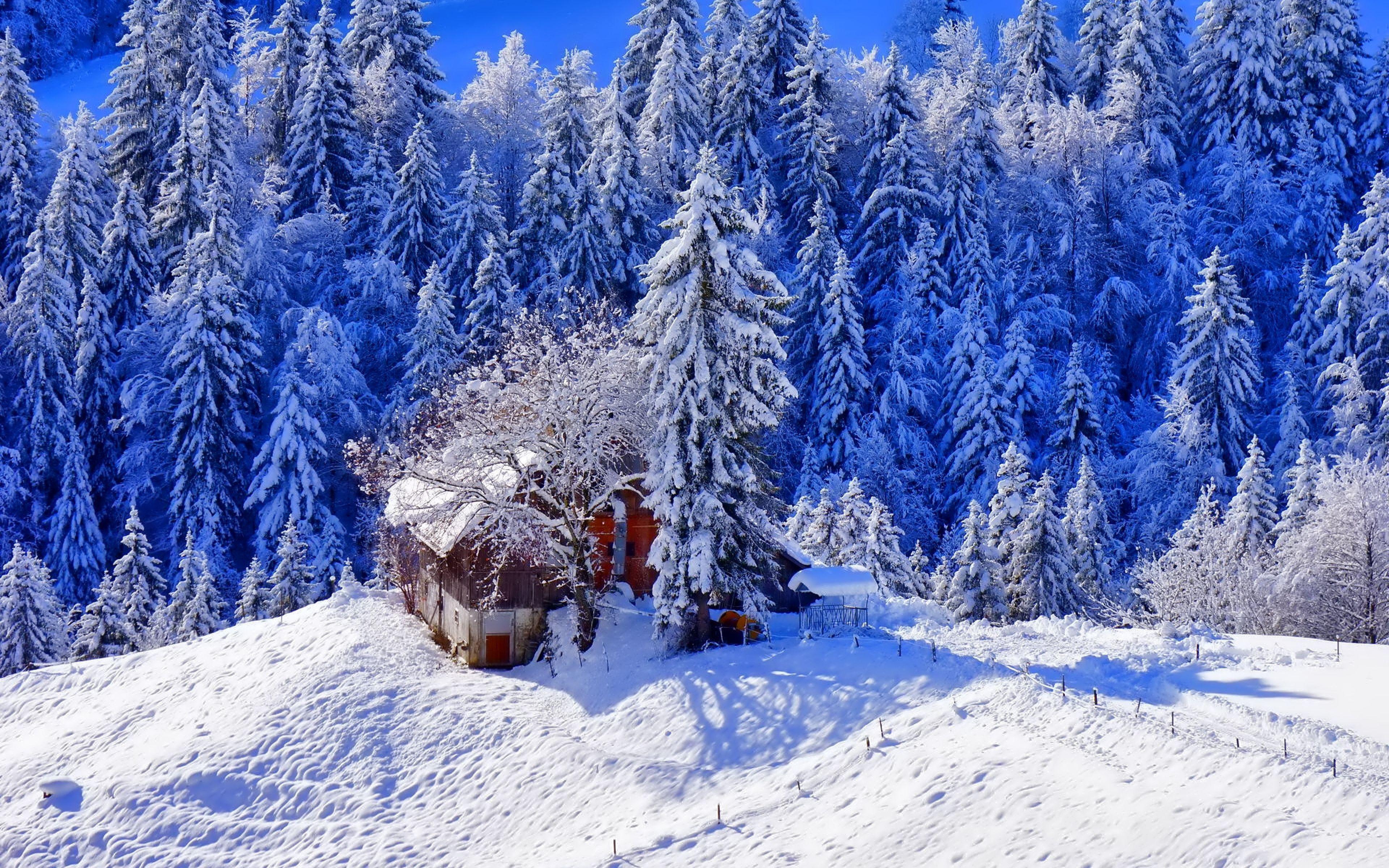 3840x2400 Hd Background Winter Snow House Ice Trees Hill Wallpaper Wallpaper & Background Download
