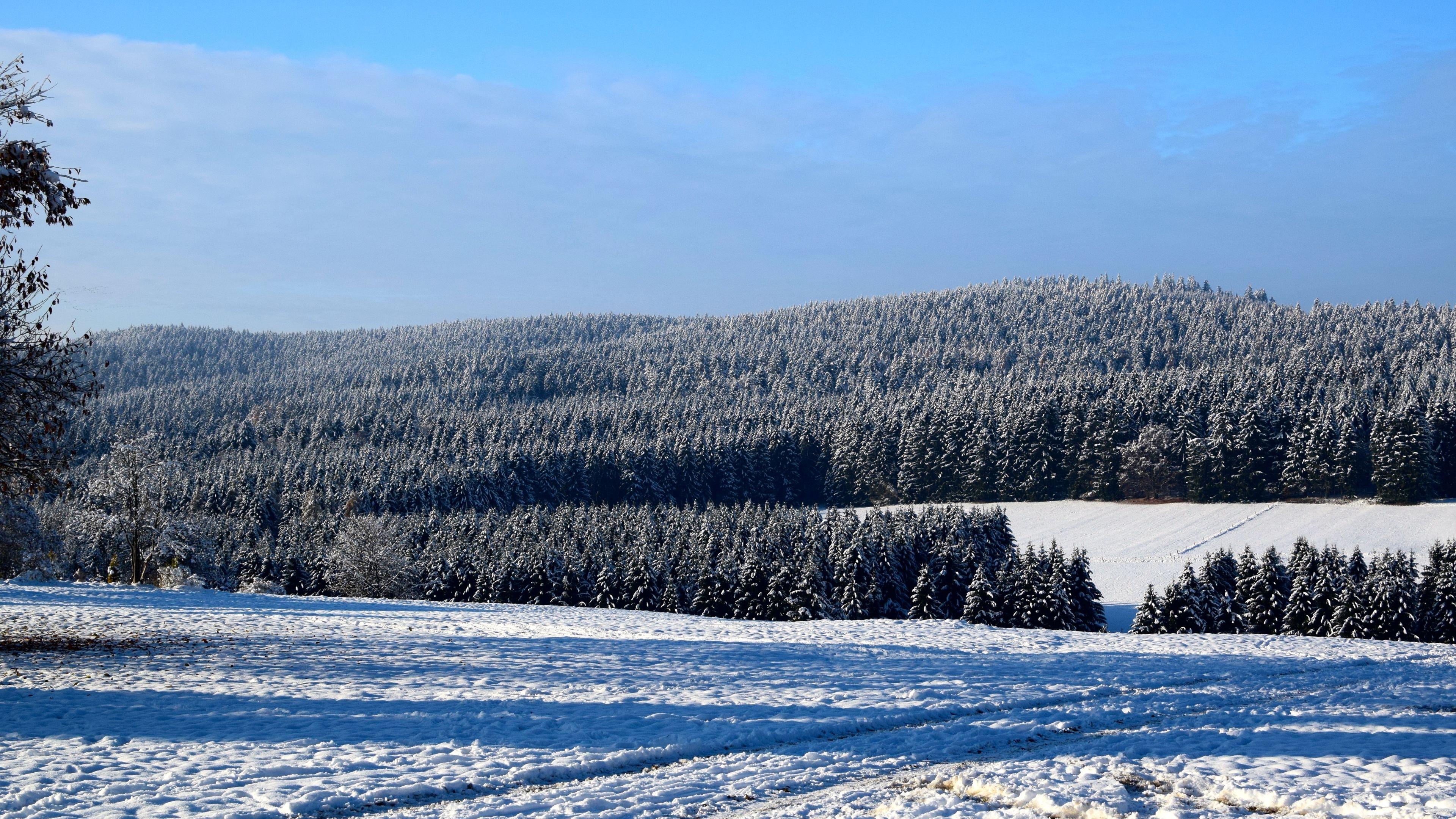 3840x2160 field, winter, snow 4K Wallpaper, HD Nature 4K