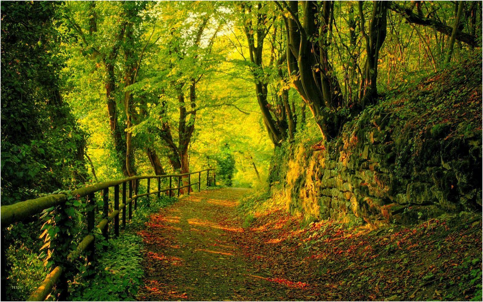 1600x1000 Nature Wallpaper HD Inspirational HD Wallpaper 1080p