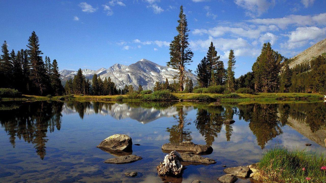 1280x720 Lake And Mountain On Forest Wallpaper Full HD