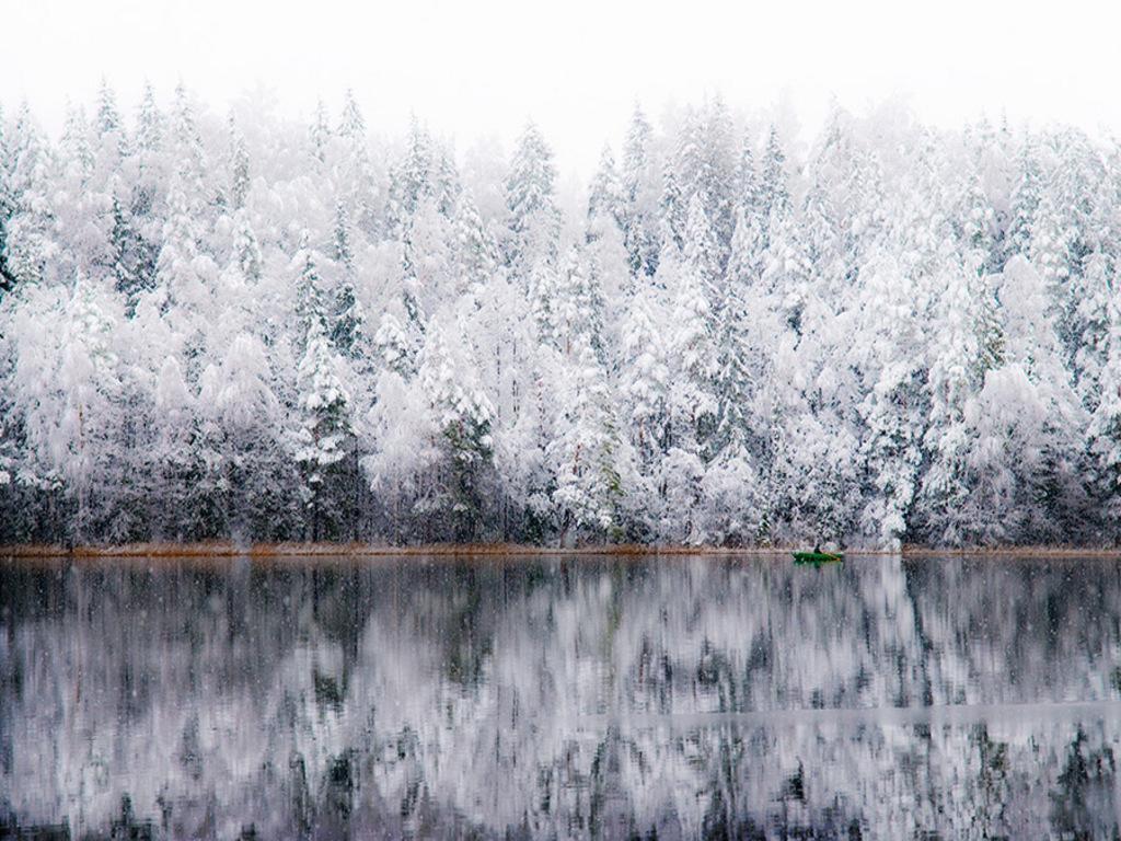 1024x768 Snow On Trees Wallpaper