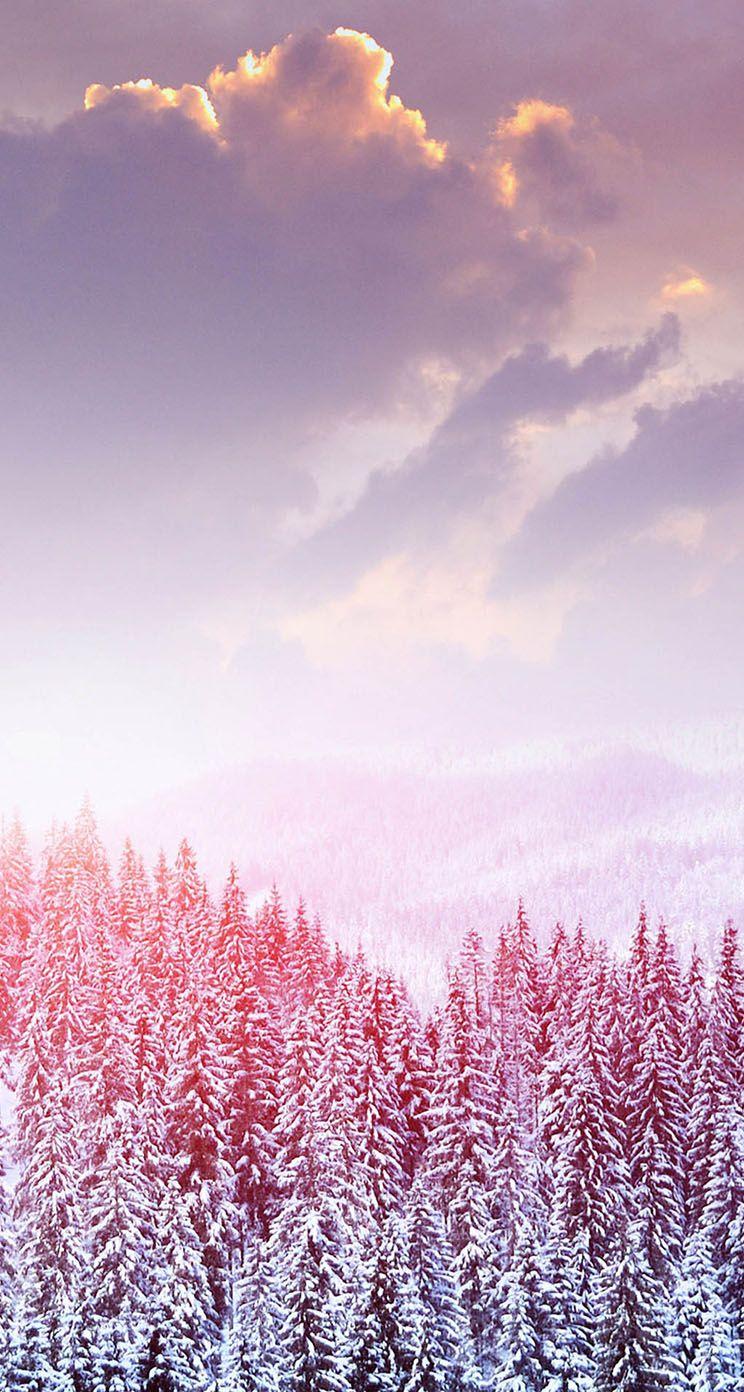 744x1392 Winter Snow Trees Winter Background, Download Wallpaper