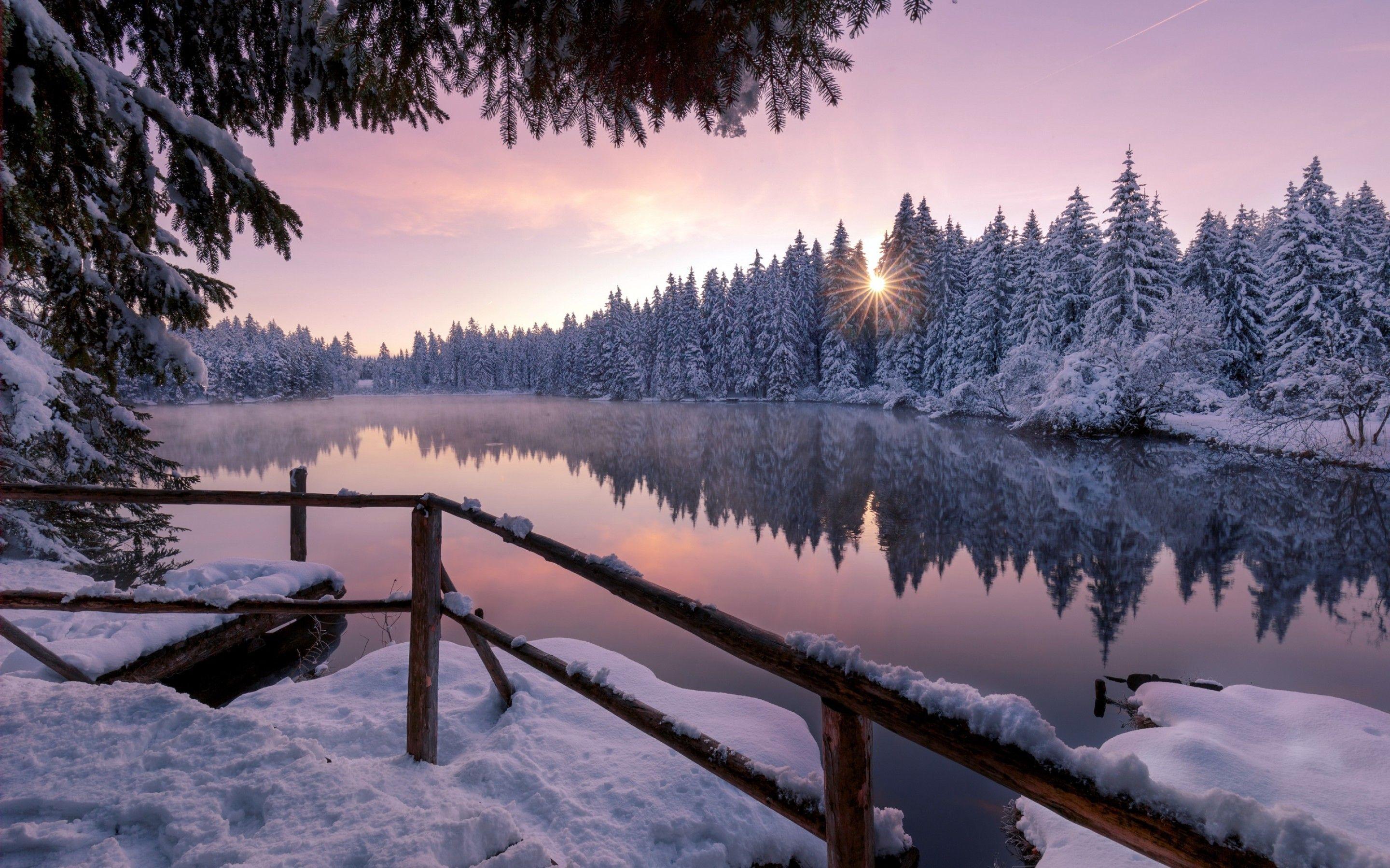 2880x1800 Winter Snow Trees Nature Outdoors Macbook Pro Retina HD