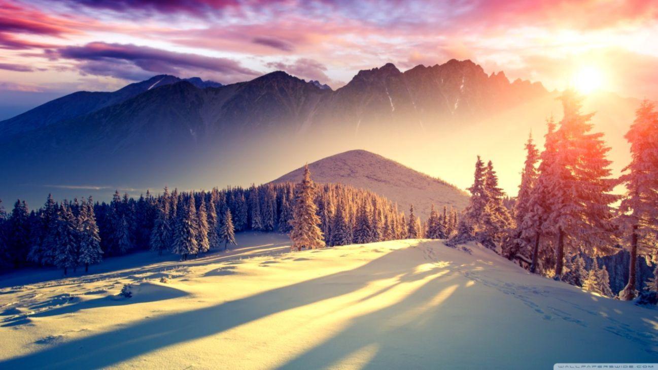 1297x729 4k Wallpaper Desktop Winter