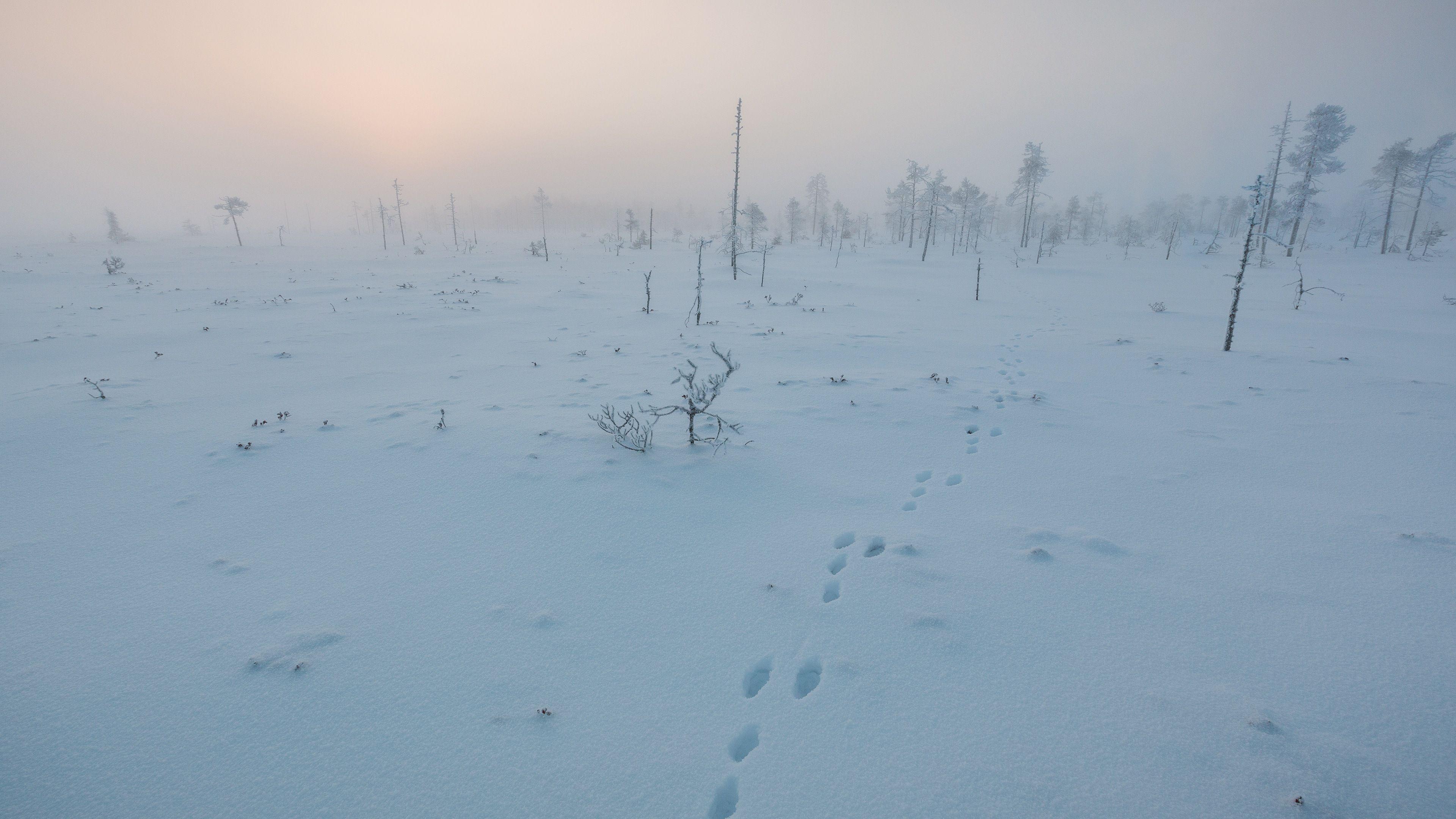 3840x2160 Hazy Sunset Frozen Swamp Winter 4K Ultra HD Desktop Wallpaper