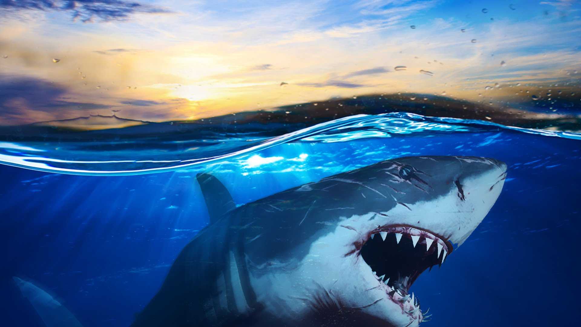 1920x1080 Picture Of The Ocean High Quality Wallpaper Subnautica Part Fck