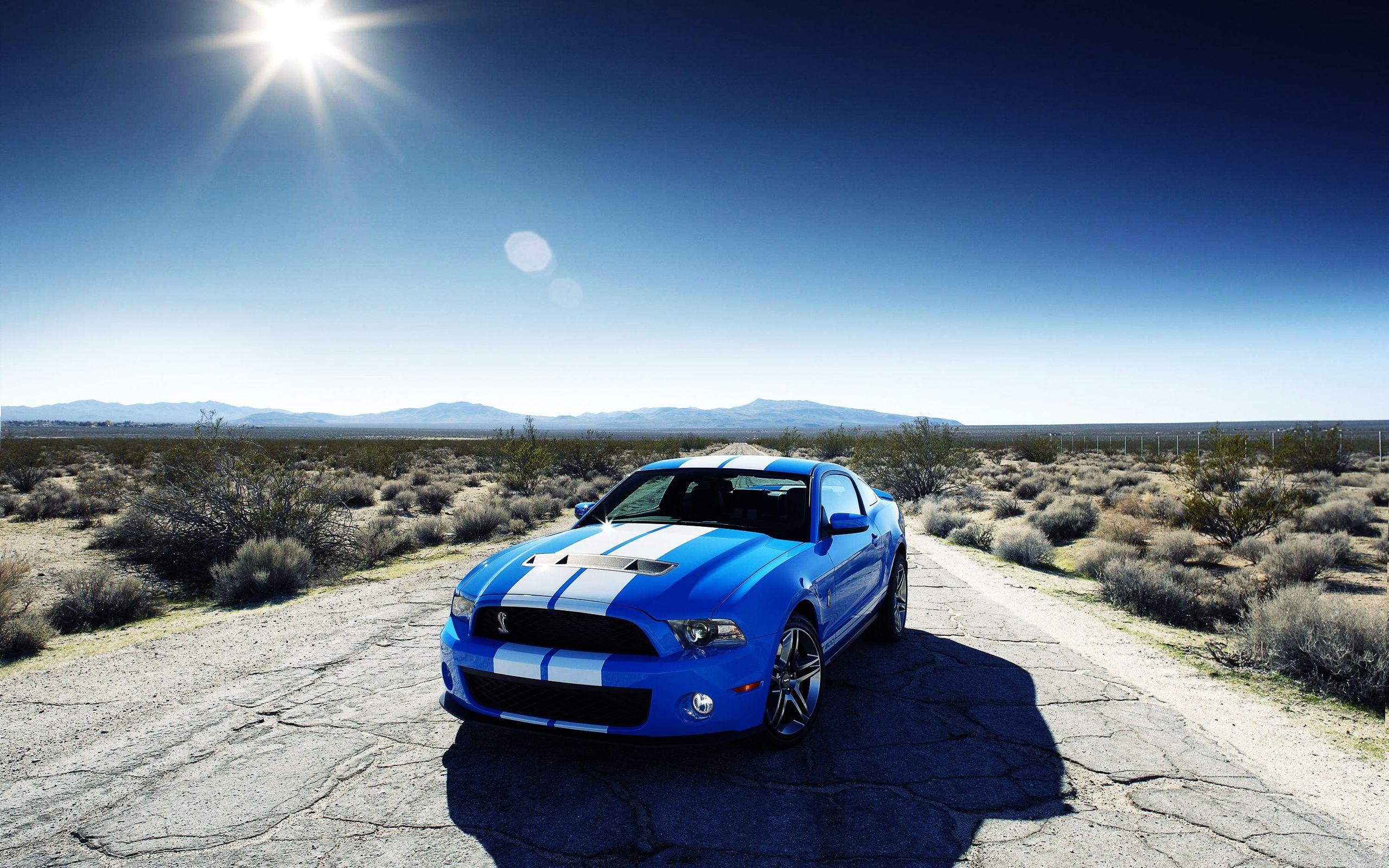 2560x1600 Car Wallpaper Mustang HD Background Wallpaper