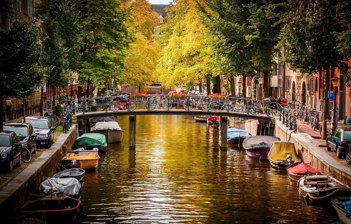 1332x850 Wallpaper autumn, water, trees, machine, bridge, the city, river, street, boats, Amsterdam, channel, Netherlands, Amsterdam, bikes, Nederland image for desktop, section город