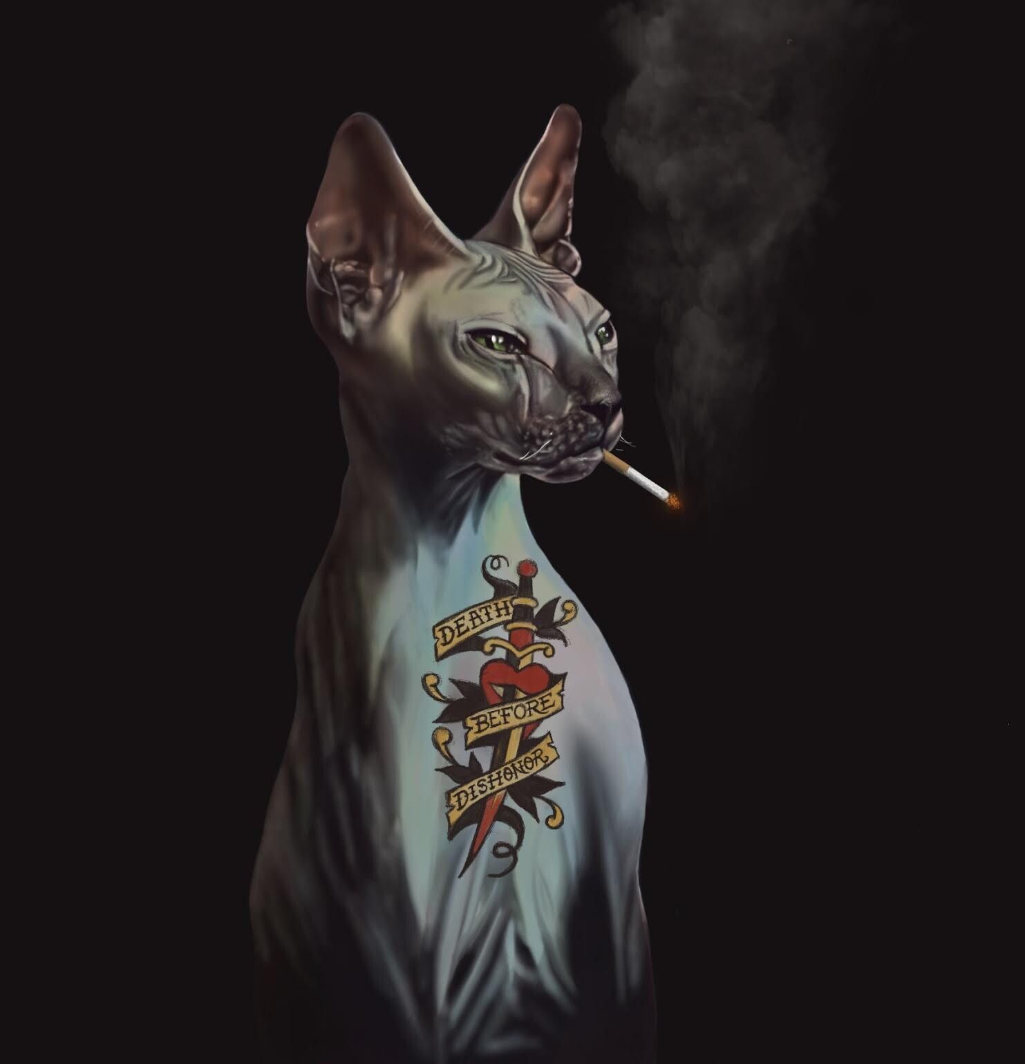 1483x1540 Sphinx Cat