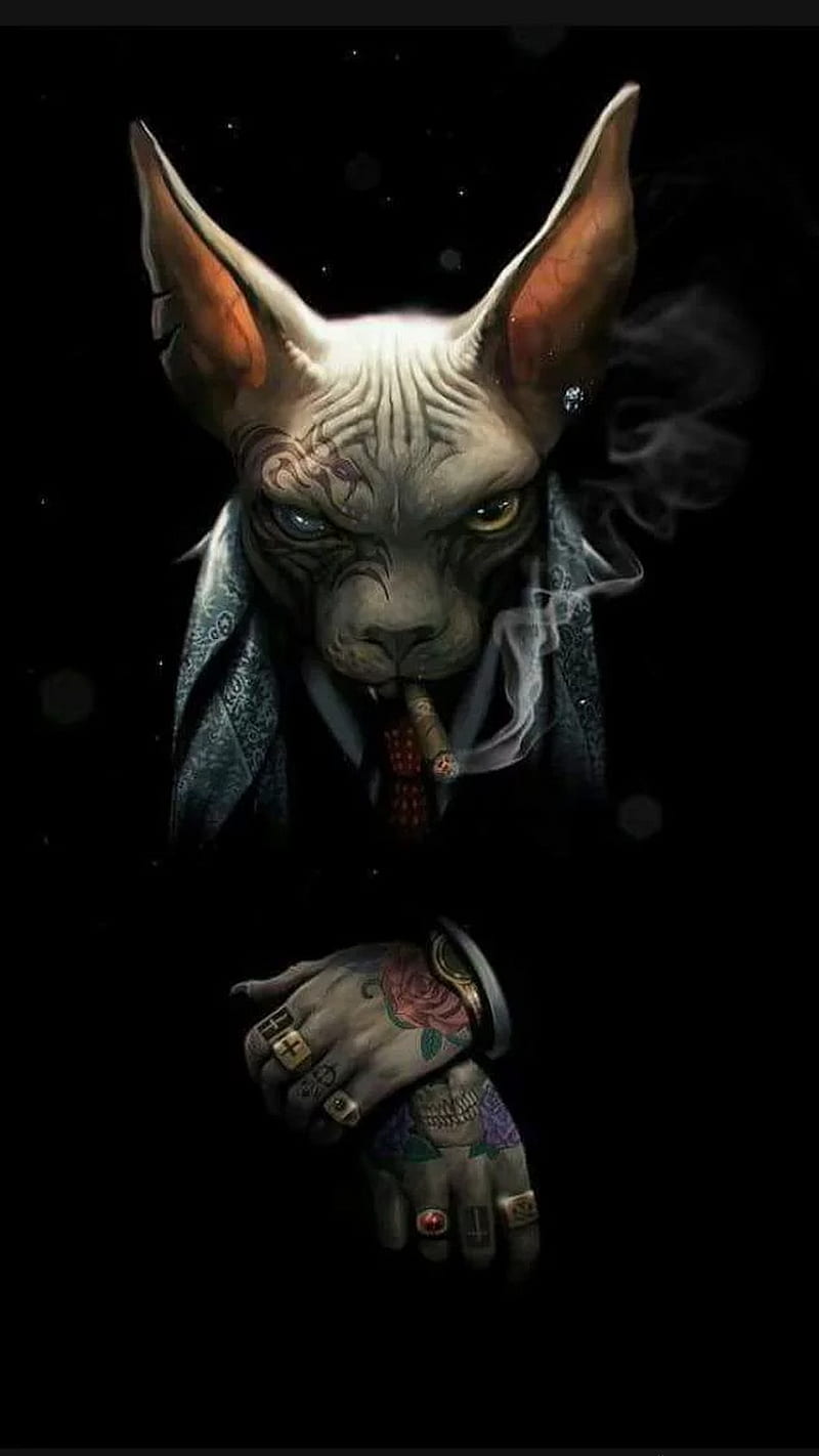800x1422 COOL CAT, cat, cool, new, drawings, funny, cute, boss, smoke, HD phone wallpaper