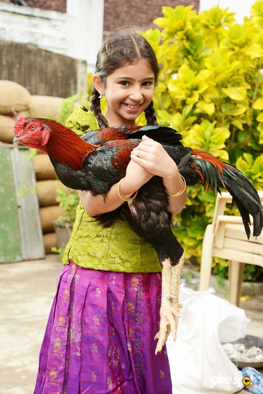 850x1273 Sara arjun in dagudumutha dandakor HD wallpaper