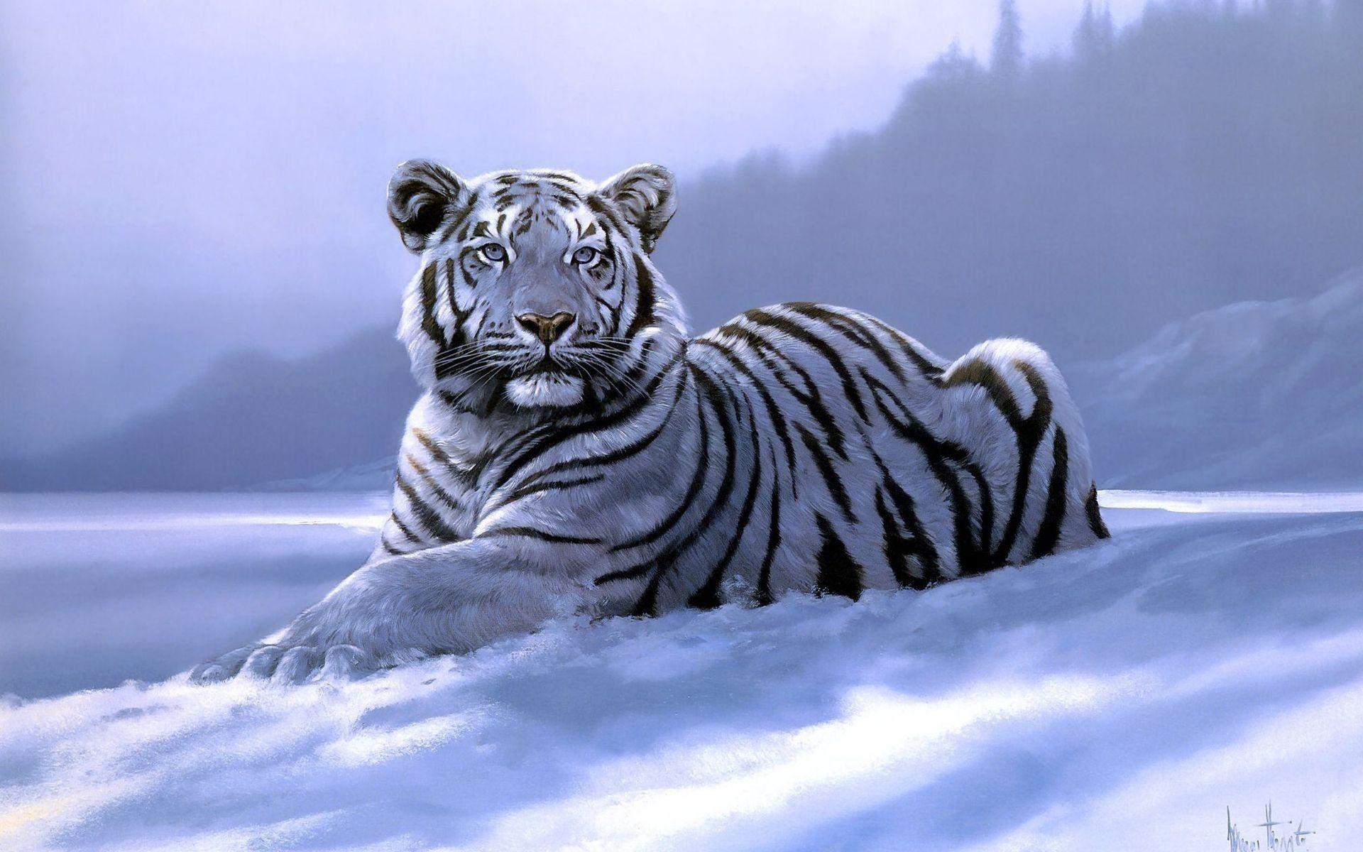 1920x1200 White Tiger Wallpaper