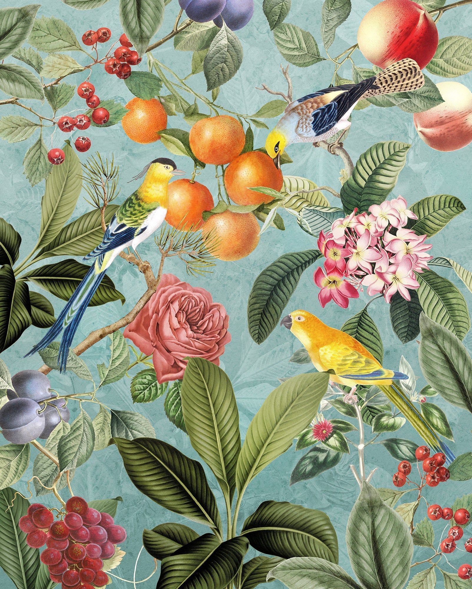 1603x2000 Birds and Berries Mural Wallpaper