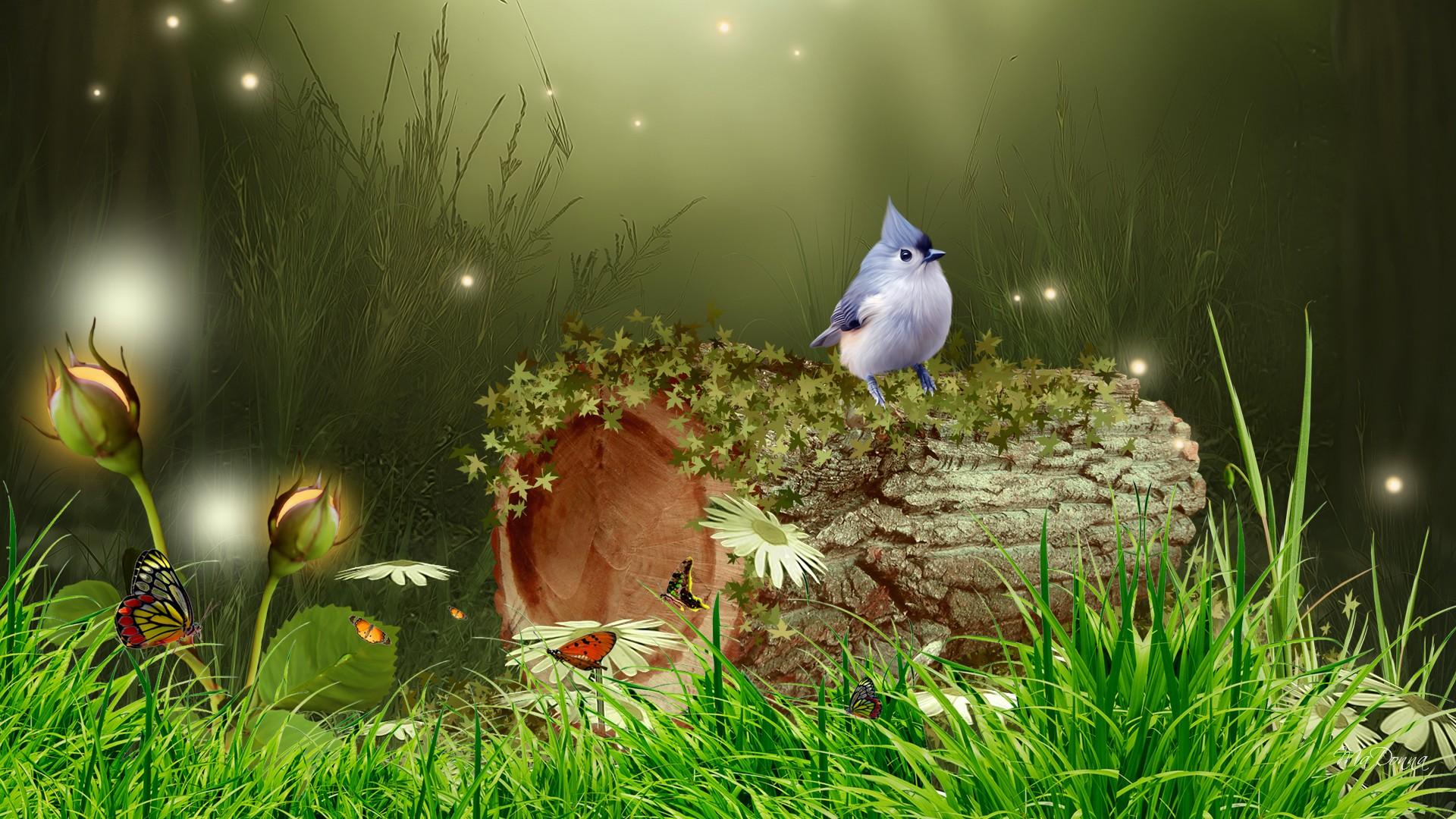 1920x1080 Enchanted Bluebird on Forest Log HD Wallpaper with Sparkling Magic