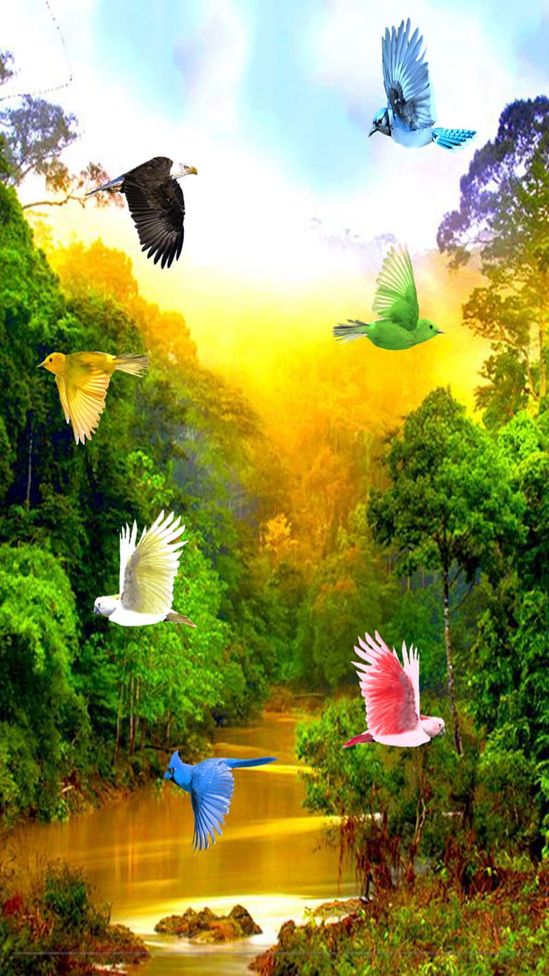 800x1422 Birds, nature, river, shine, sky, trees, HD phone wallpaper