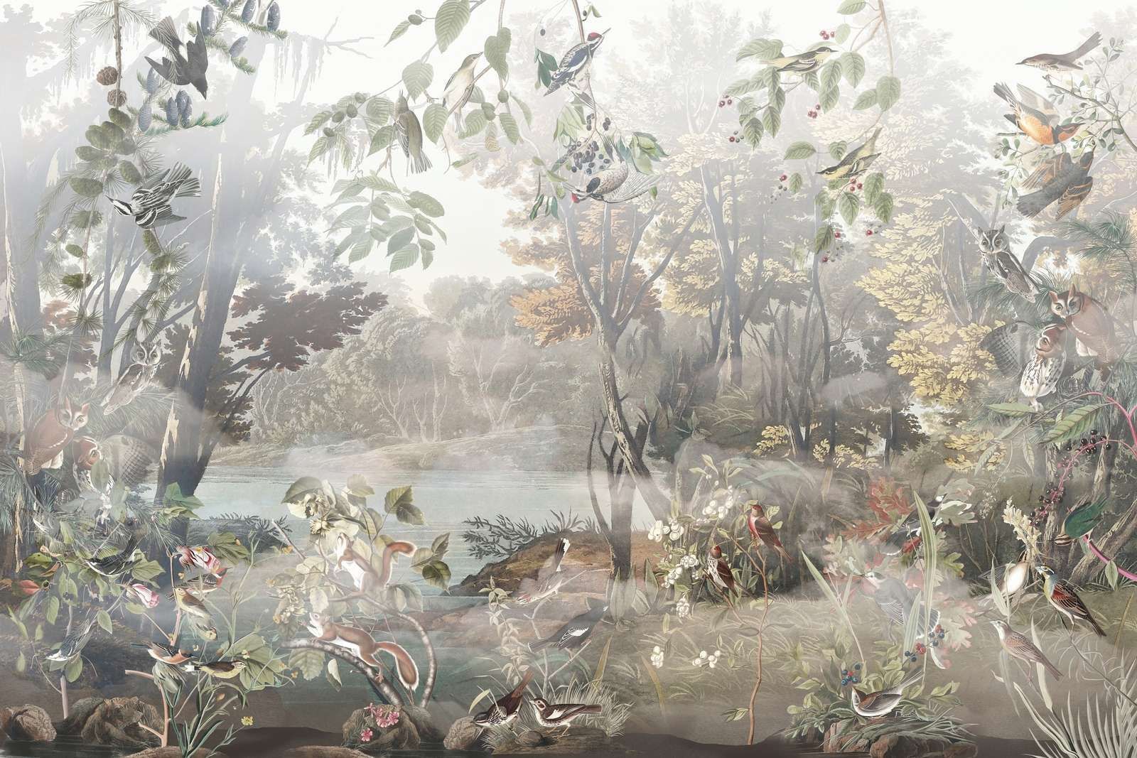 1600x1067 Wall Mural Forest Birds