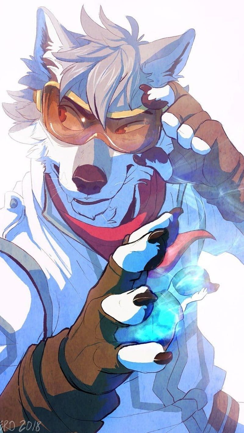 800x1422 Furry, art, magia, HD phone wallpaper