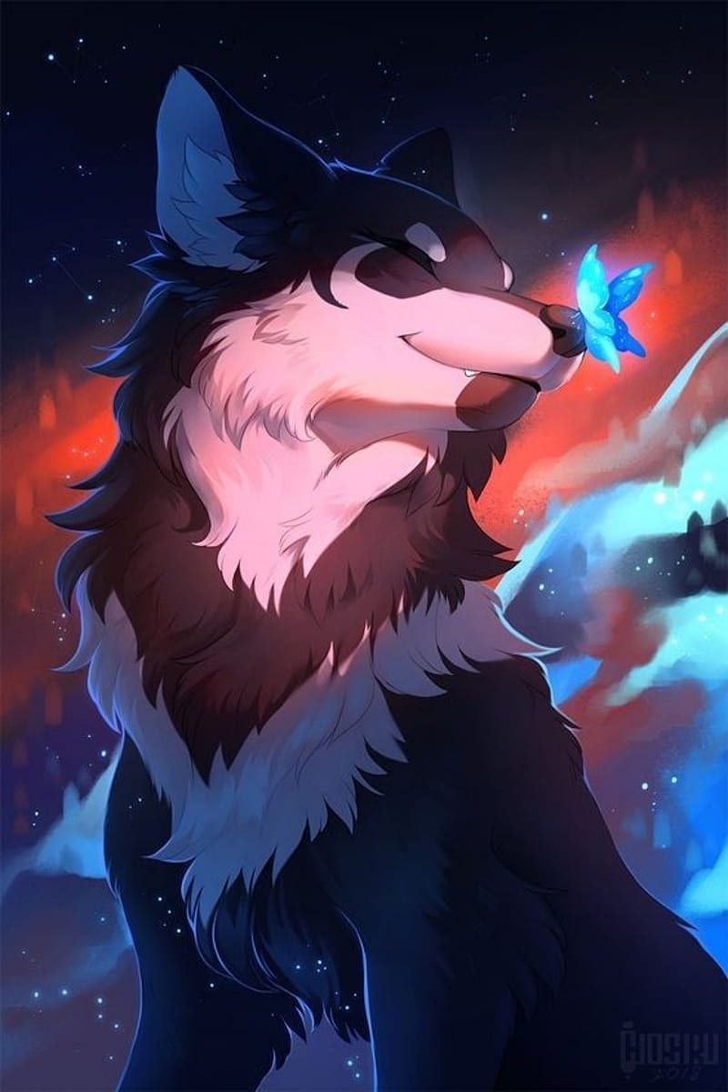 800x1200 HD furry wallpaper