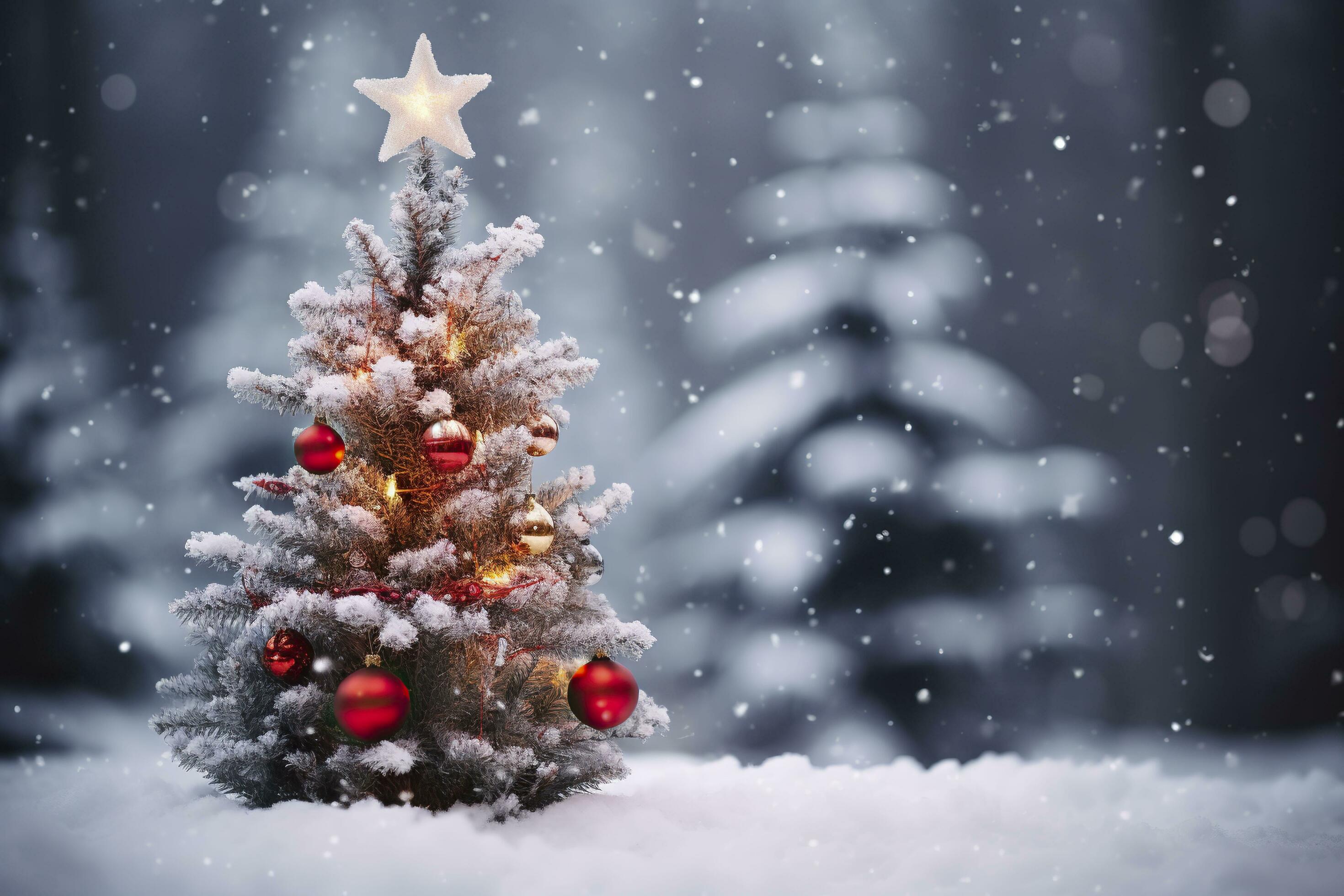 Christmas Tree In Snow Wallpapers - Top Free Christmas Tree In Snow