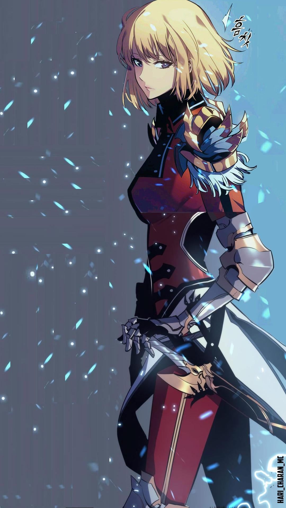 1080x1920 Waifu material wallpaper rank hunter Cha Hae in