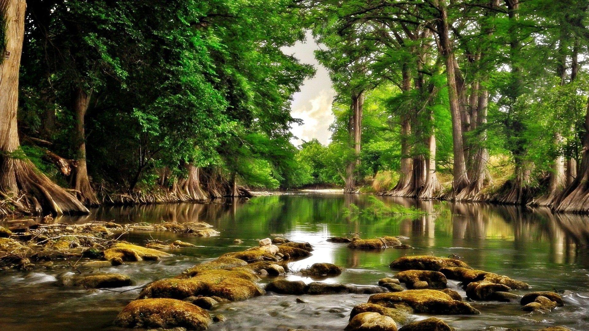 1920x1080 Free download HD High Resolution Wallpaper Of Nature HD Desktop