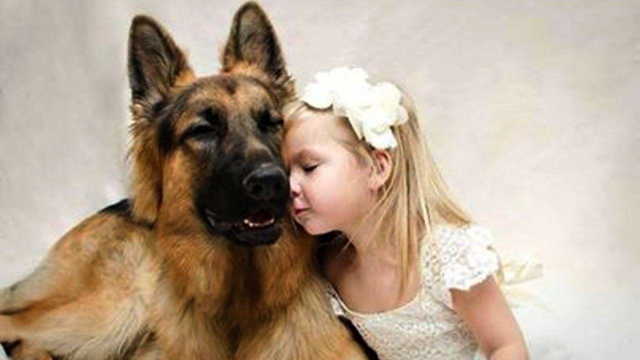 1280x720 Dog Wallpaper, HD Dog Image, Free Image, Dog Photo, Dog Eye