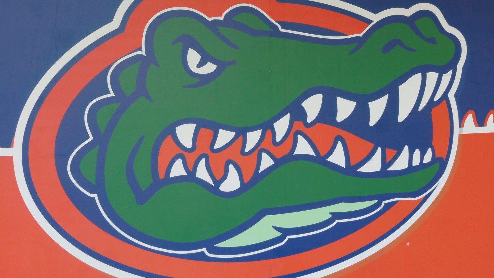Florida Gators Softball Wallpapers Top Free Florida Gators Softball
