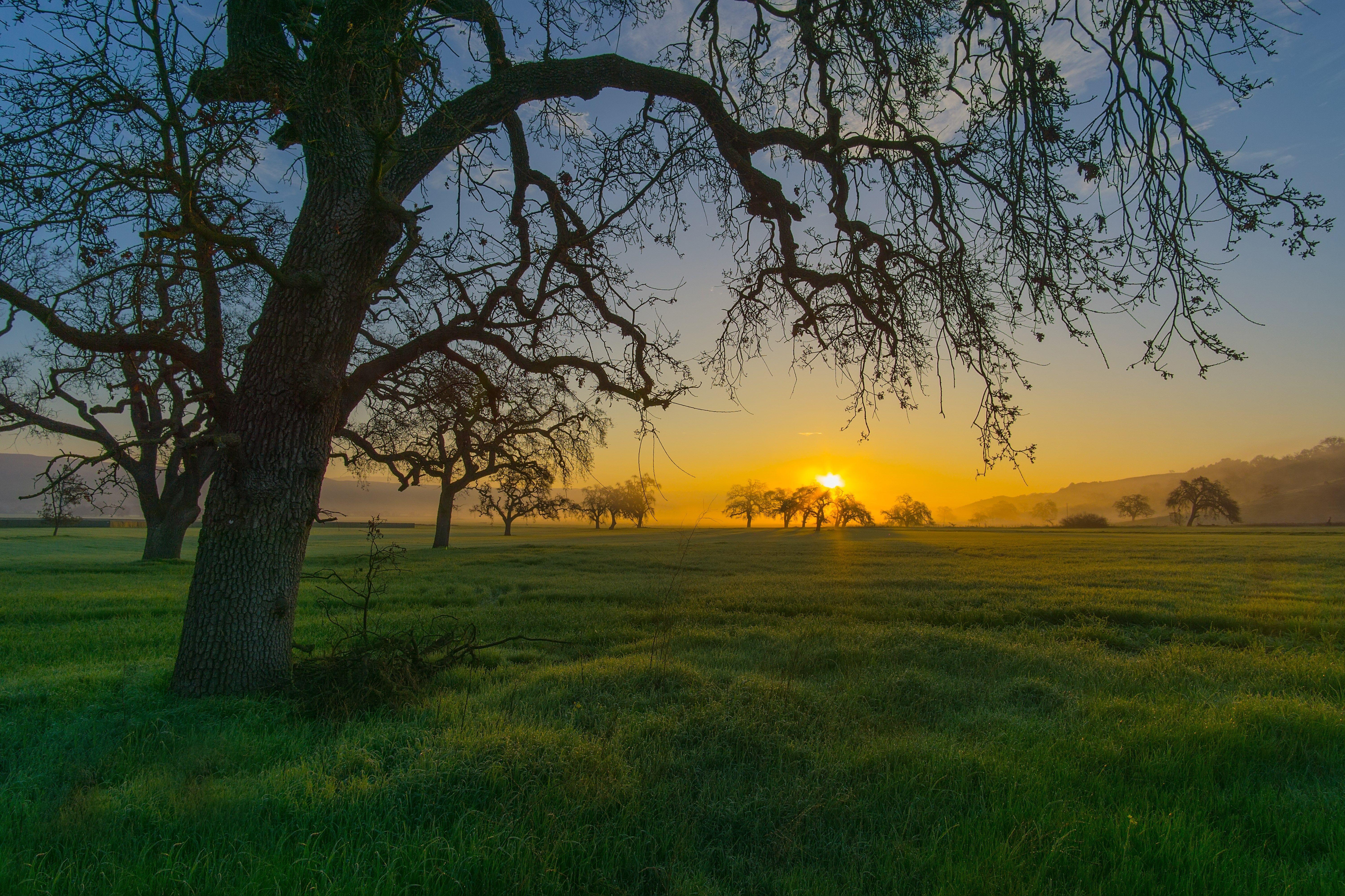 6000x4000 image for Desktop: sunrise wallpaper Hurley Brian 6000x4000