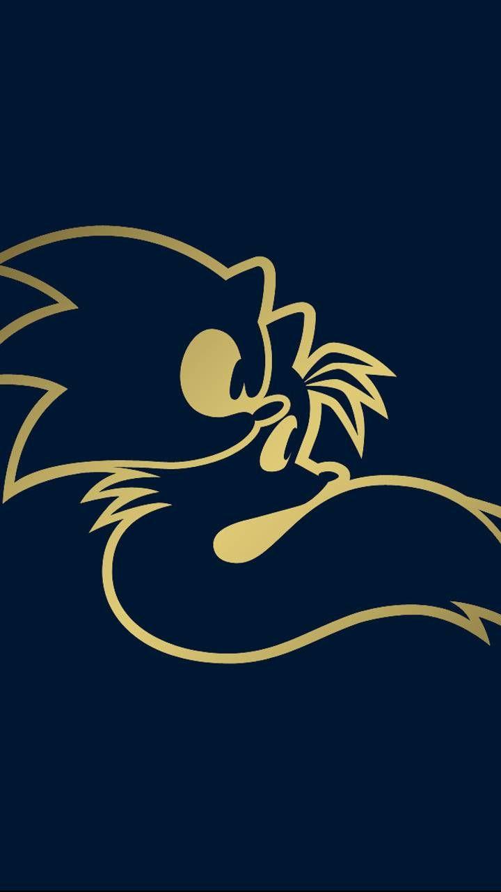 720x1280 Sonic The Hedgehog 2 wallpaper