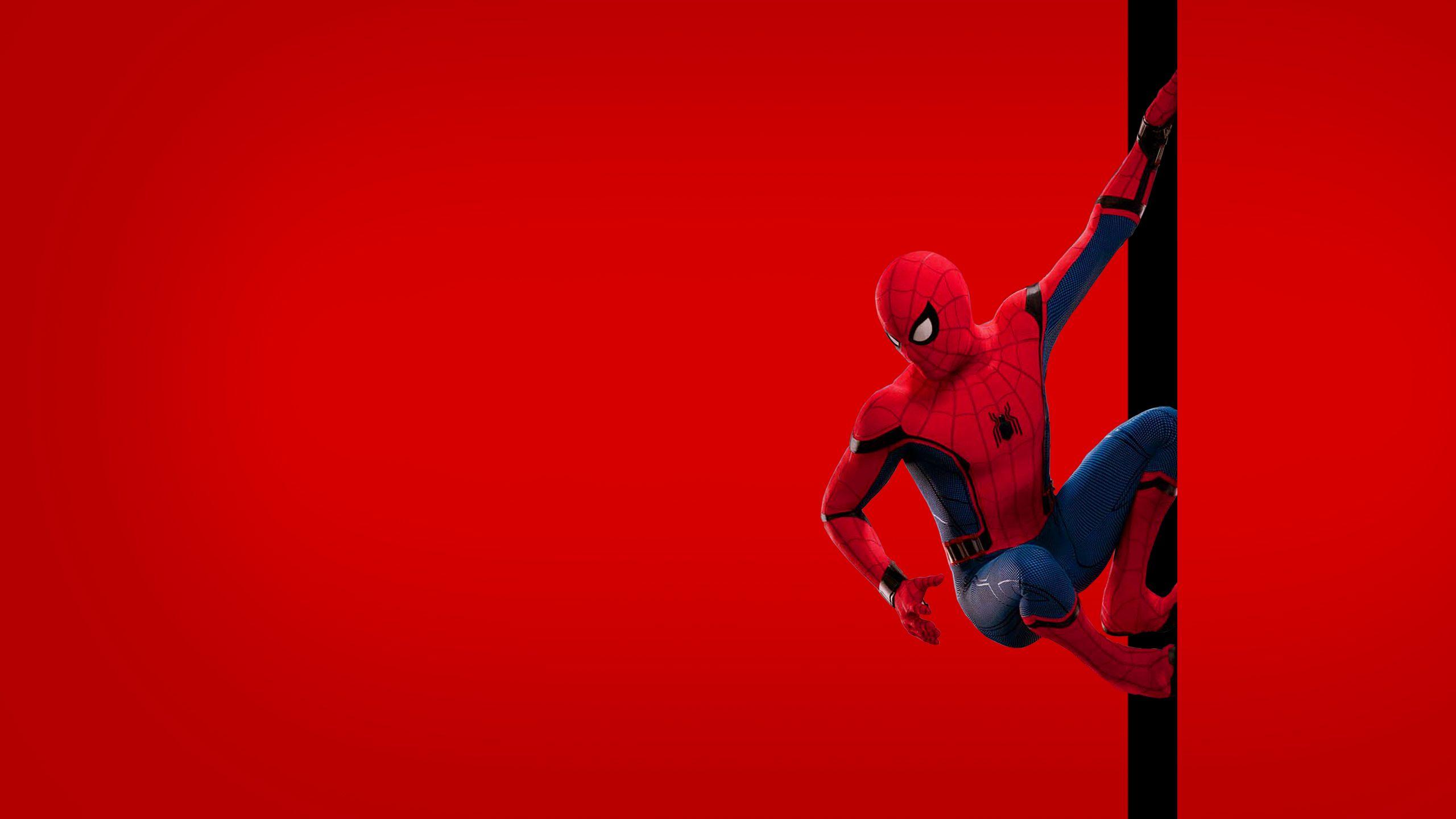Latest HD Spider Man Homecoming Wallpaper 4k