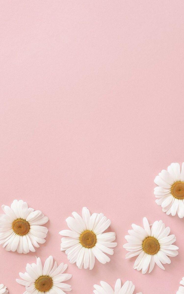 50 Free Pink Aesthetic Wallpapers  Restore Decor  More