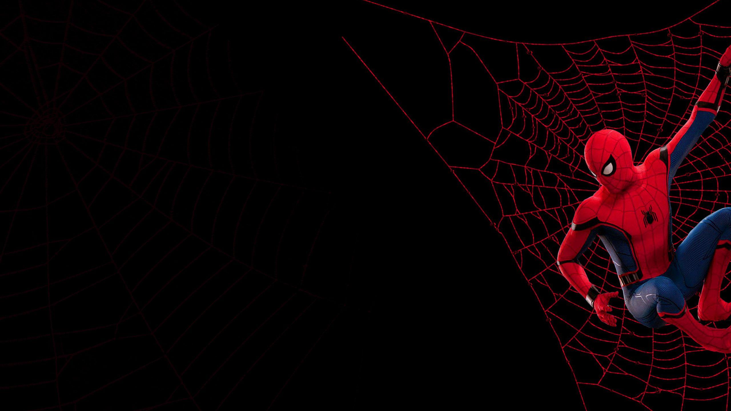 Spiderman Aesthetic Wallpapers - Top Free Spiderman Aesthetic