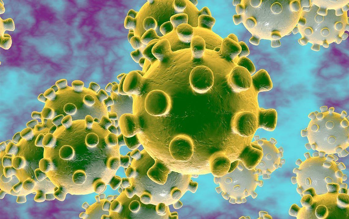 1140x714 Day 1720 The Corona Virus What Are We Supposed To Learn? > Grief