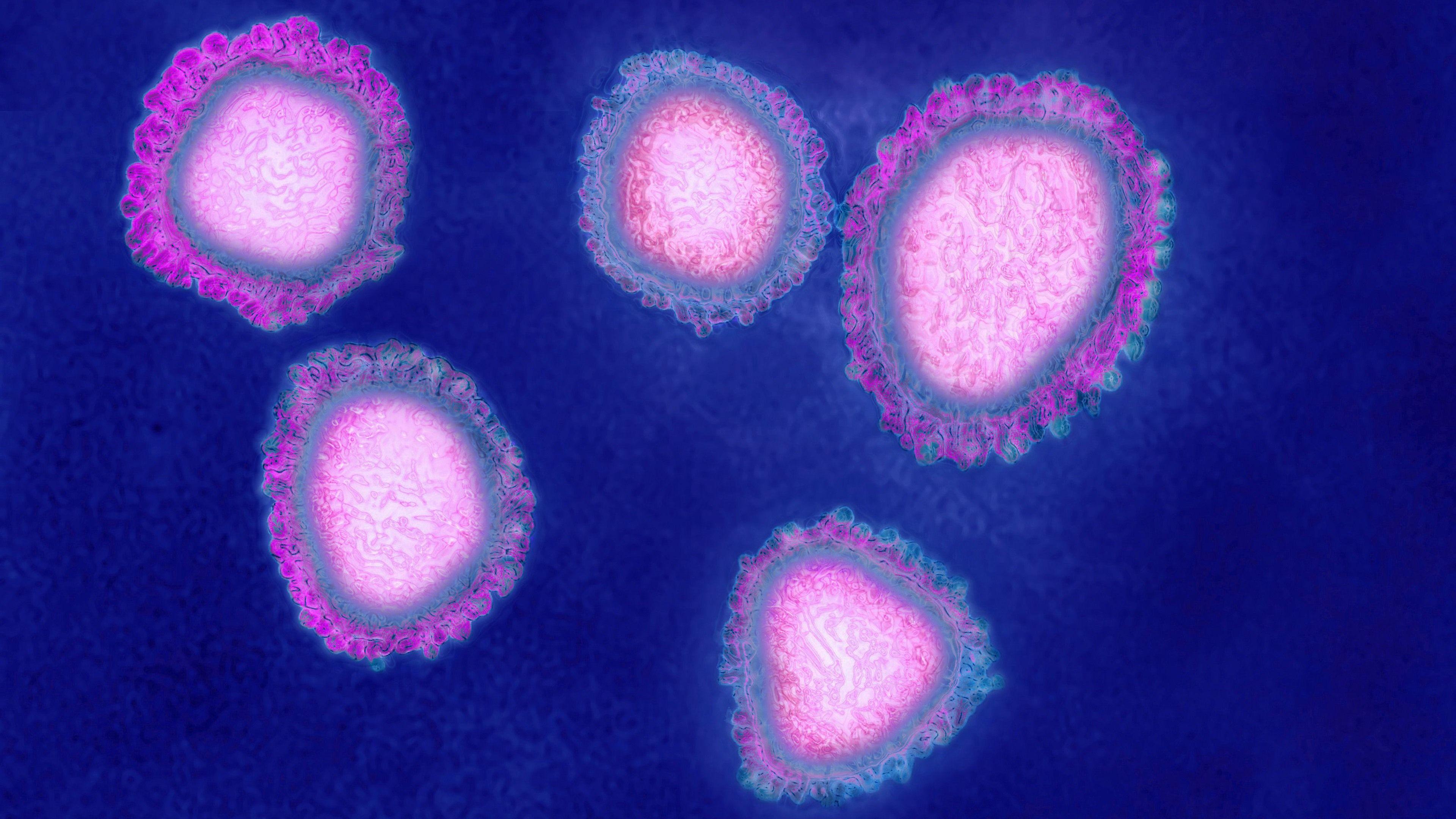 3840x2160 Wallpaper Coronavirus, virus, cells, blue background 3840x2160 UHD