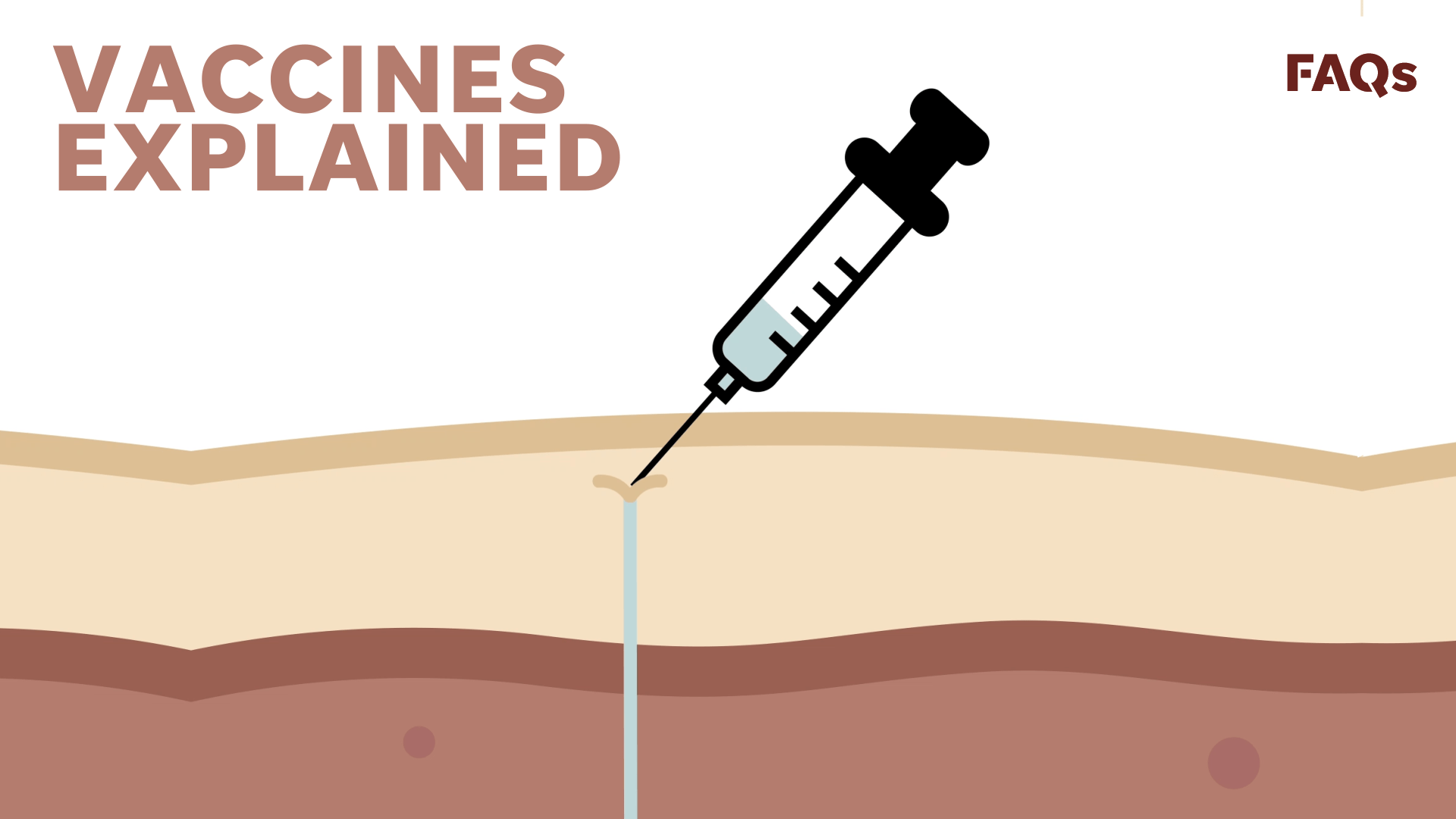 1920x1080 Coronavirus facts, debunking myths: China bioweapon, seasonal, cattle