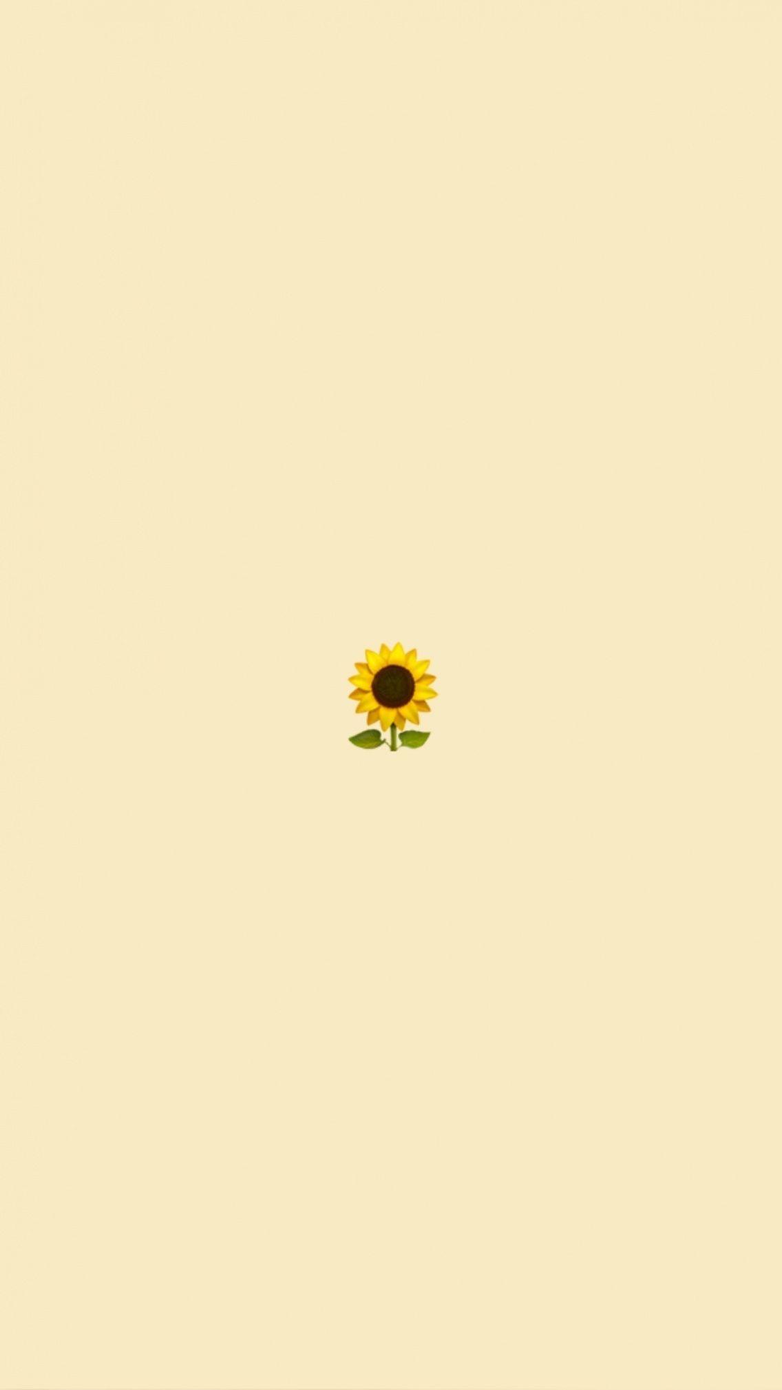 1136x2017 Vsco Yellow Wallpaper